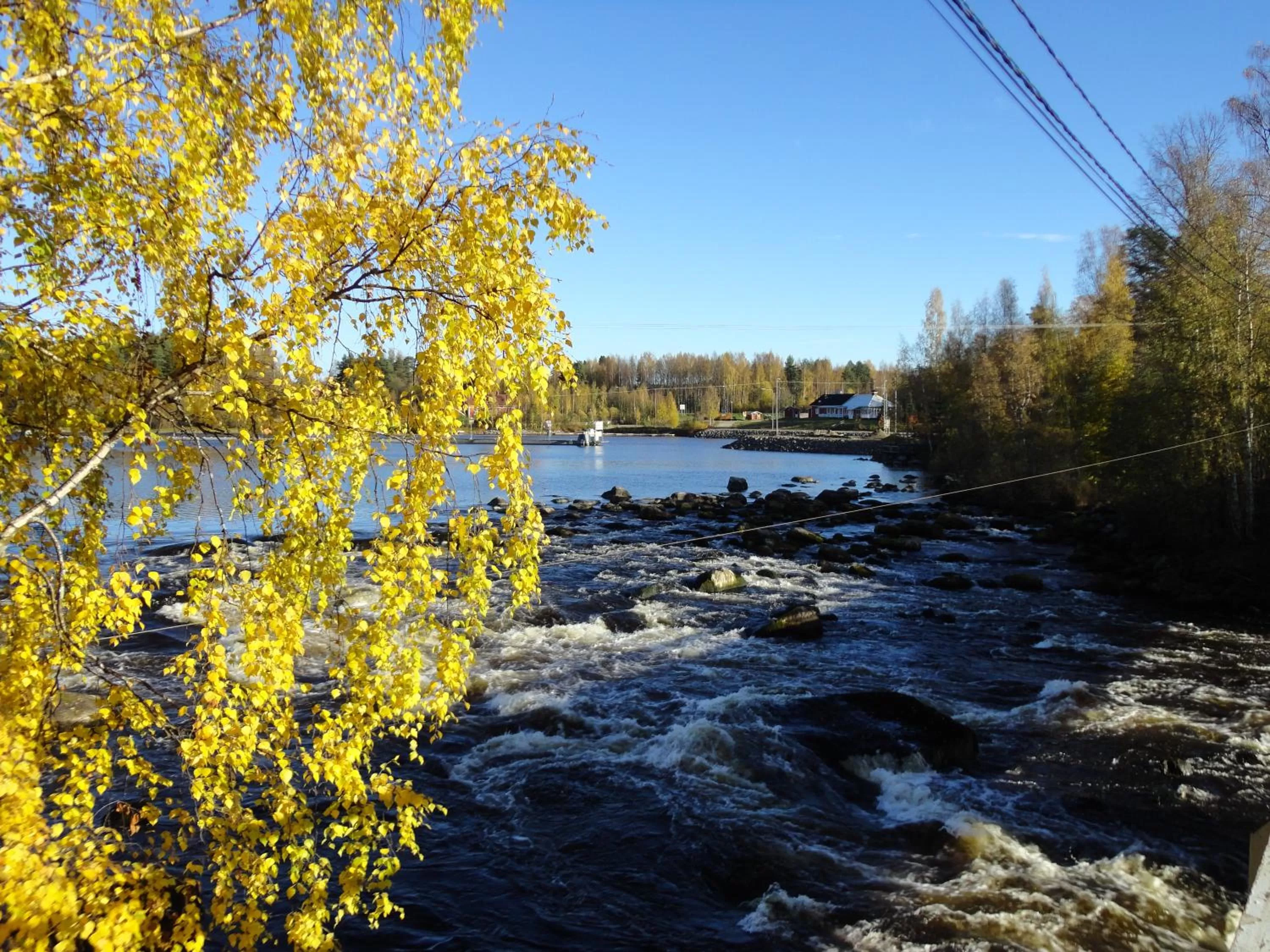 Natural landscape in Varjola Holiday Center