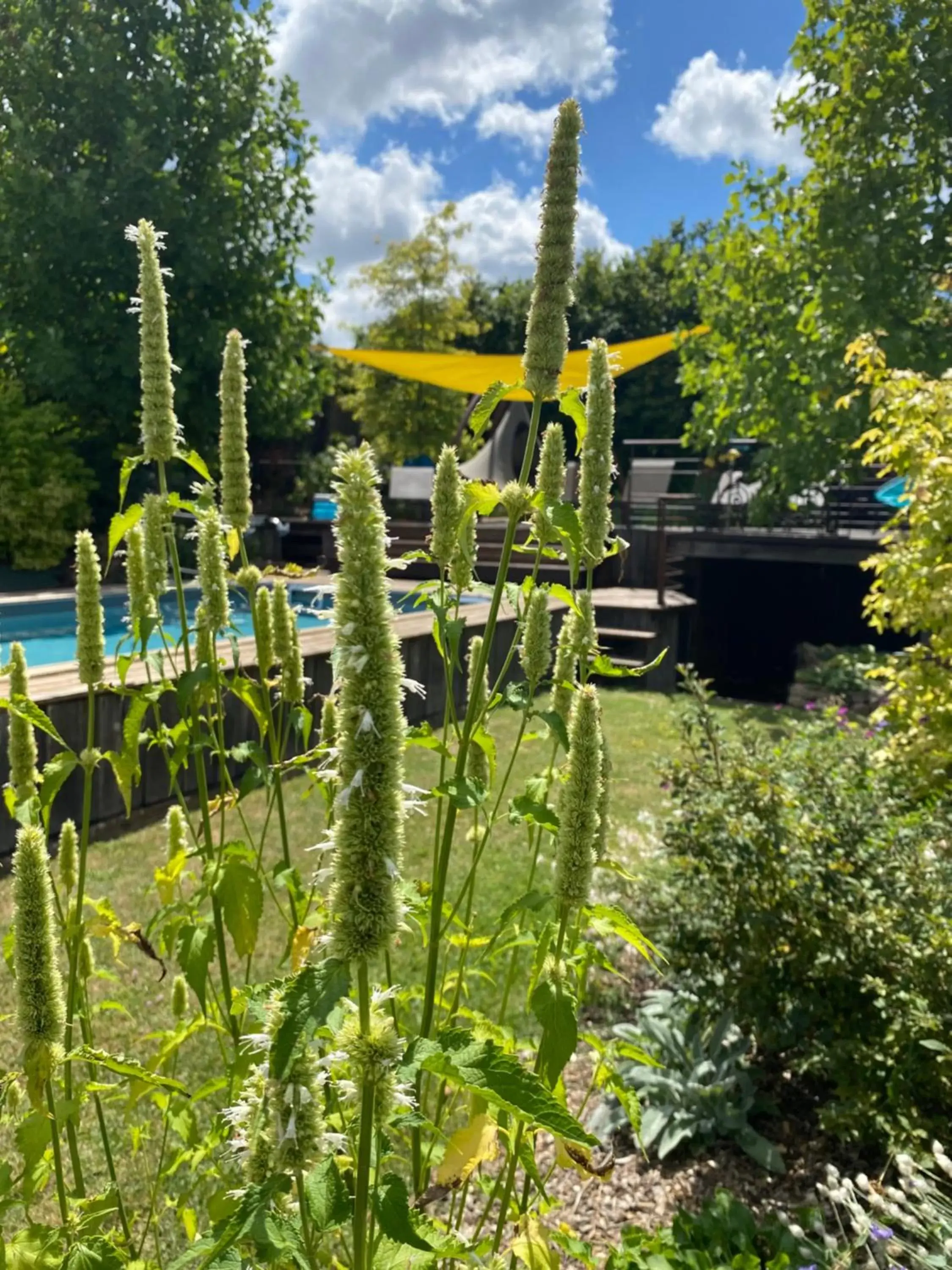 Garden in L'Ecole des Garçons