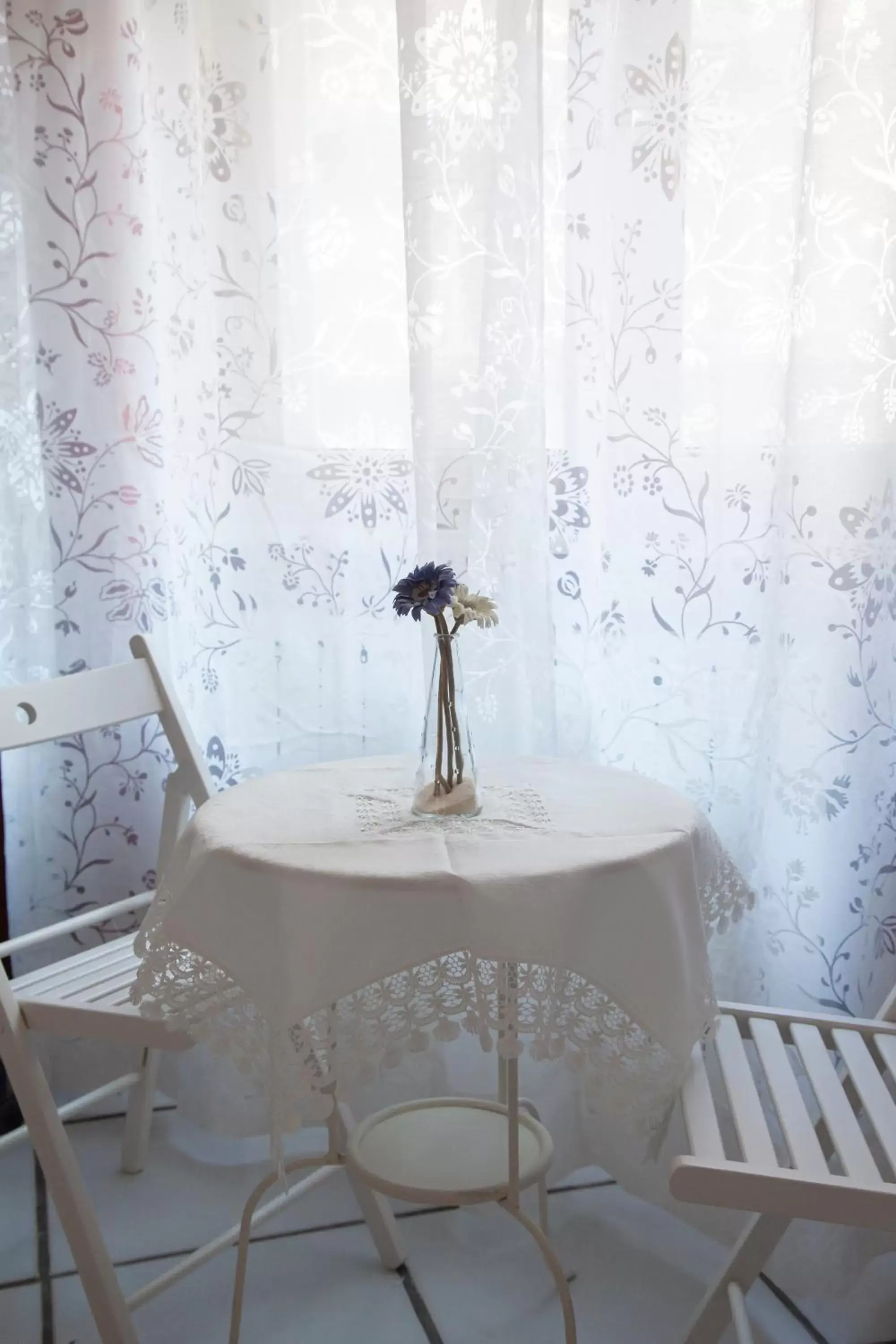 Dining Area in Poly's House