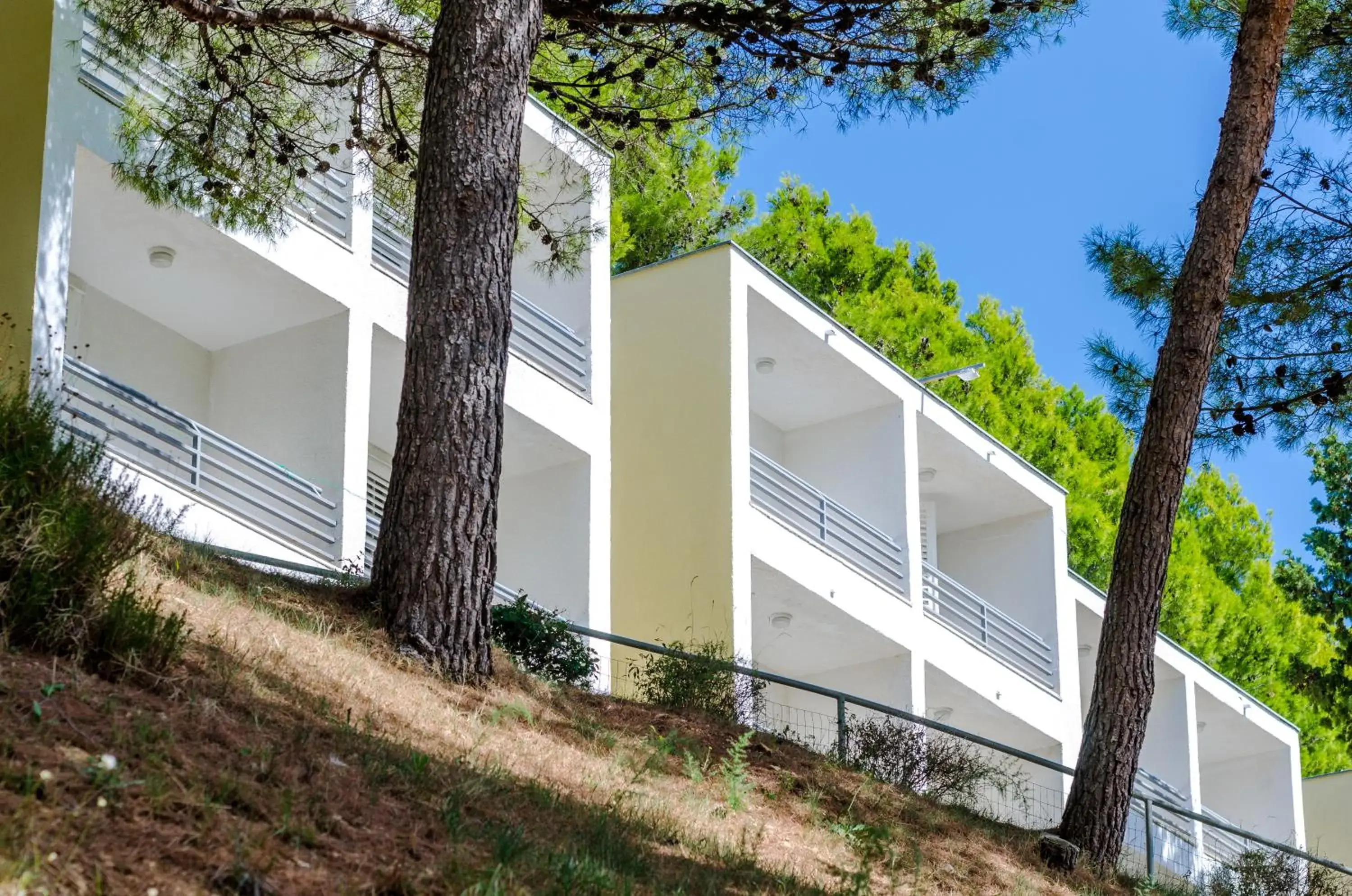 Property building in Sagitta All inclusive light Property building in Sagitta All inclusive light