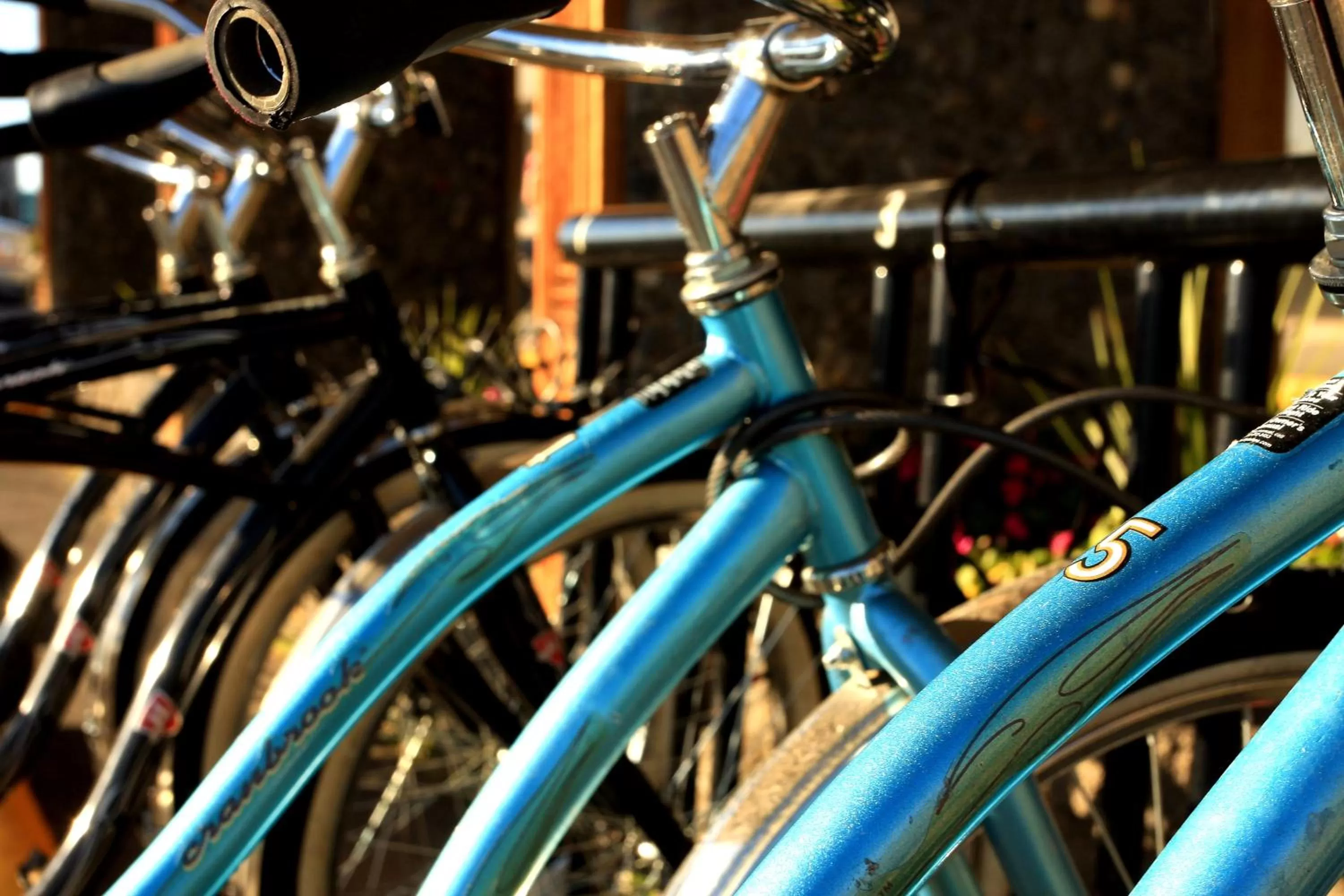 Fitness centre/facilities in Clover Island Inn