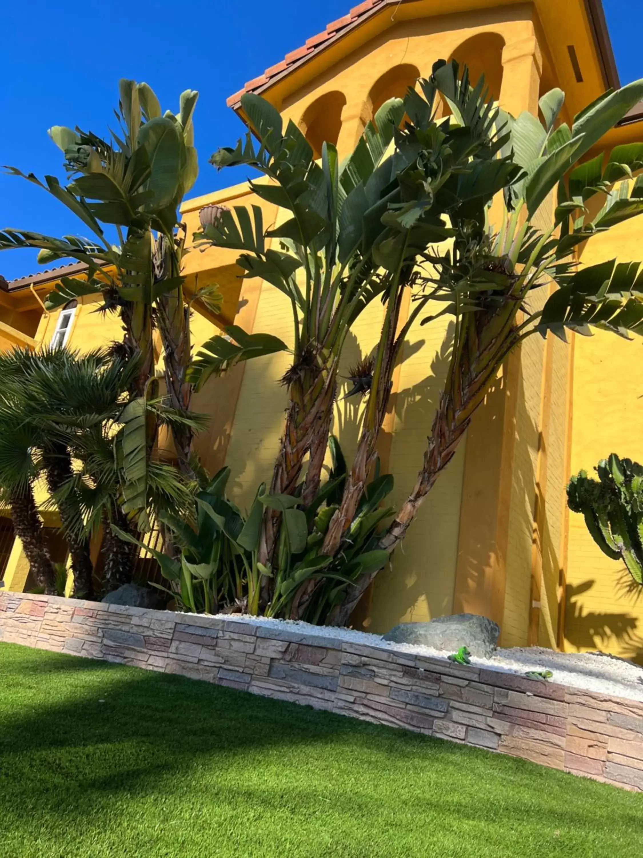 Property building, Garden in The Aqua Pacific Hotel