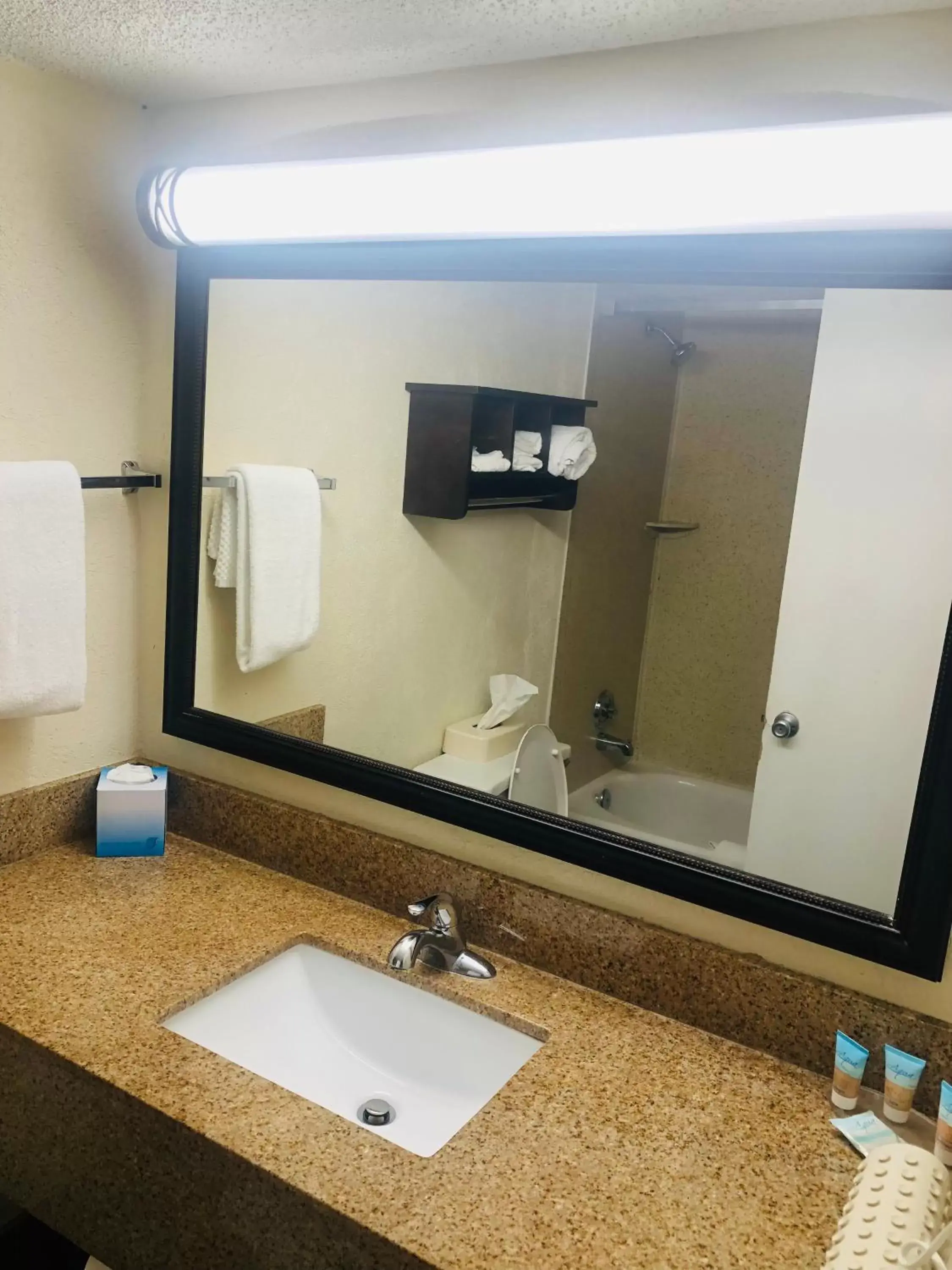 Bathroom in Quail Inn and Suites - Myrtle Beach