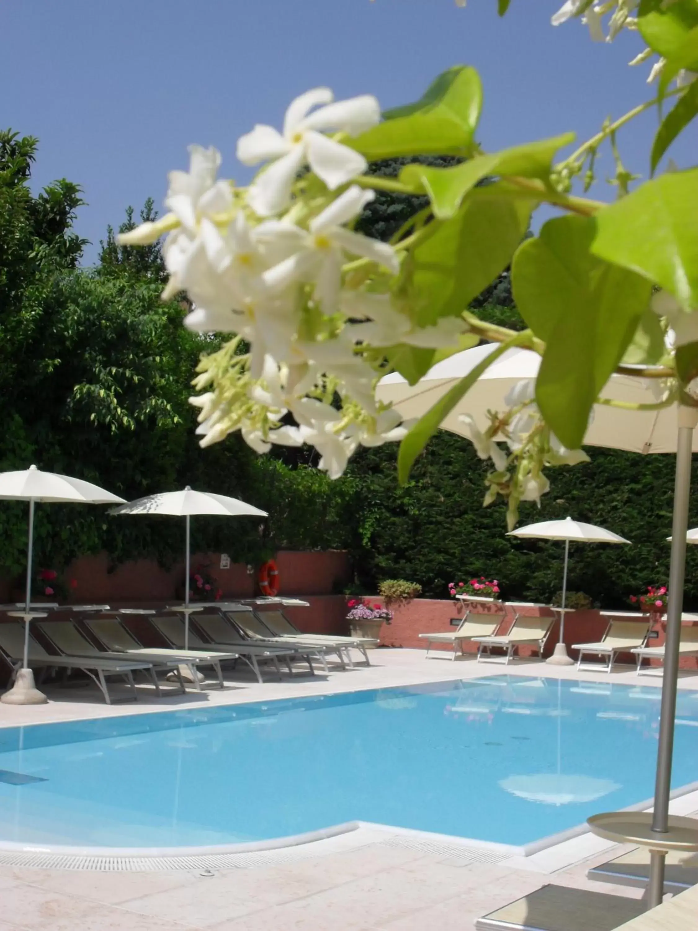 Summer, Swimming Pool in Il Sogno Apartments