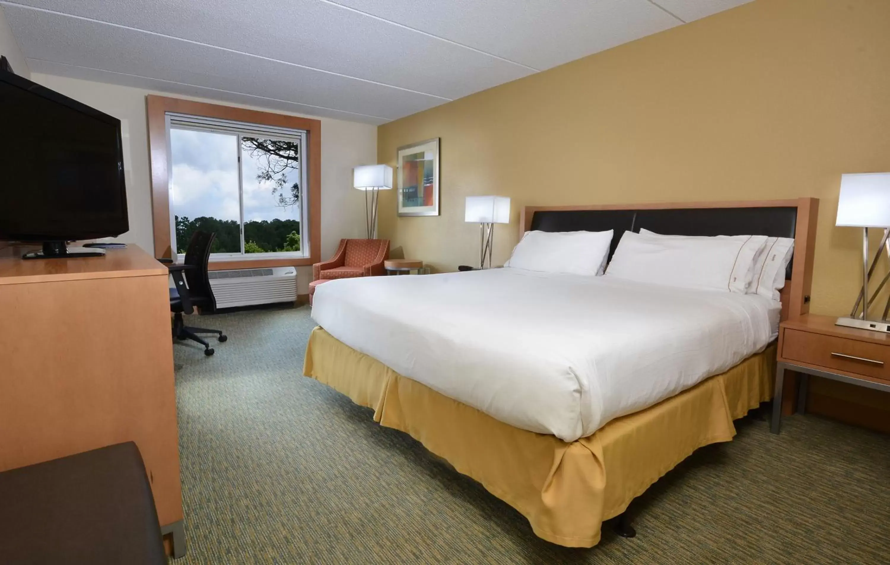 Photo of the whole room, Bed in Holiday Inn Express Hotel & Suites High Point South, an IHG Hotel