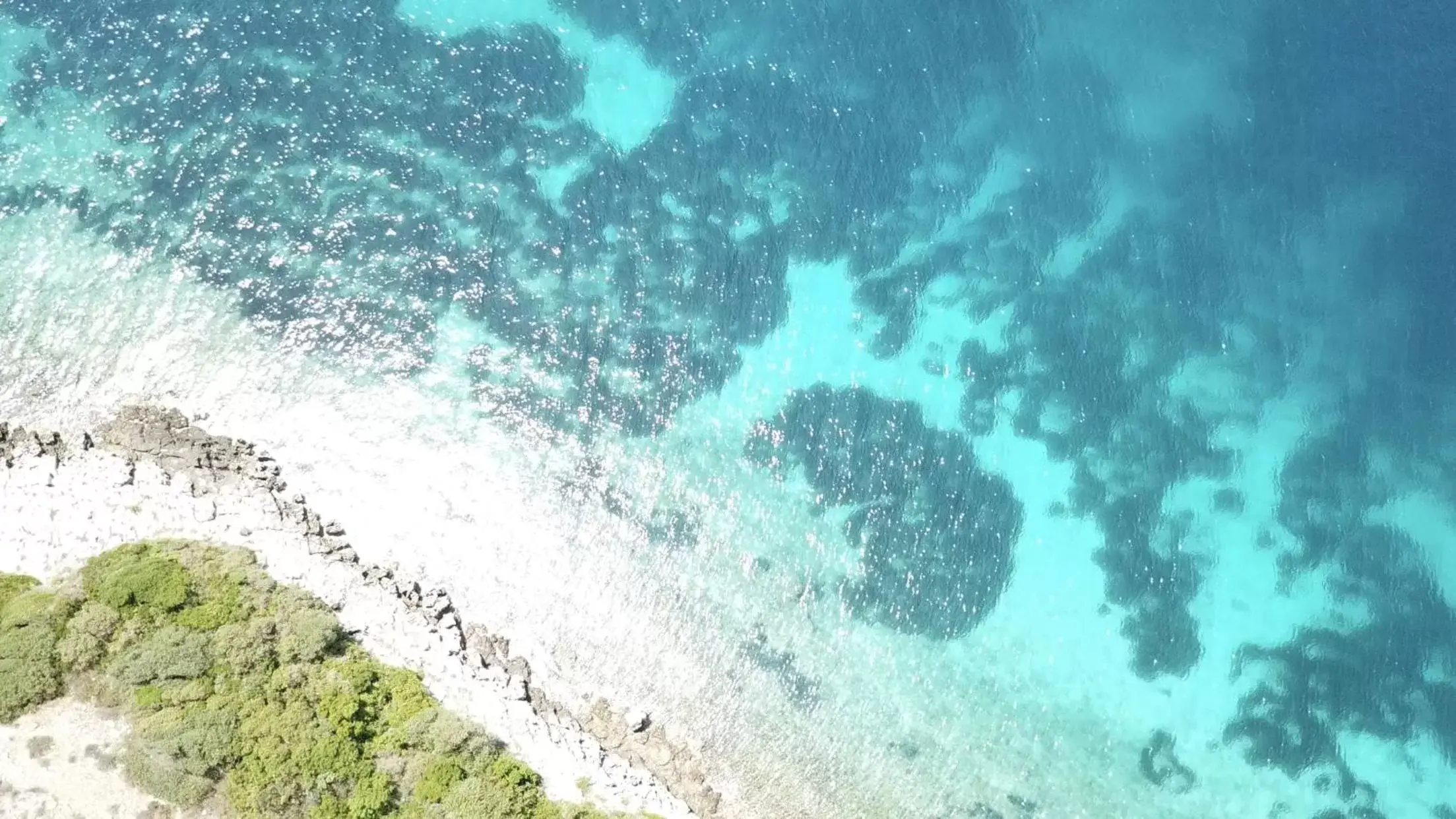 Bird's-eye View in Blue Pelican Motel