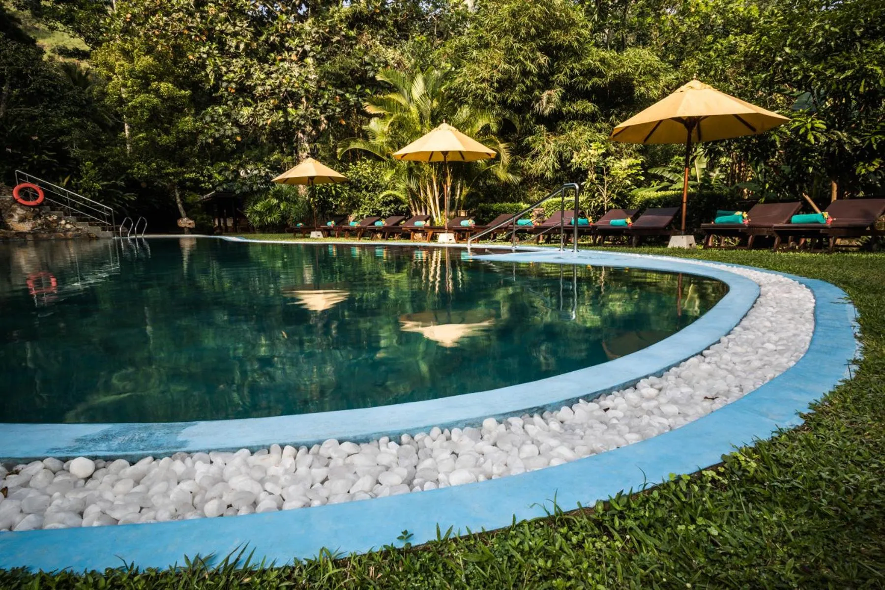 Swimming pool in Yasmin Hill Longevity Oasis