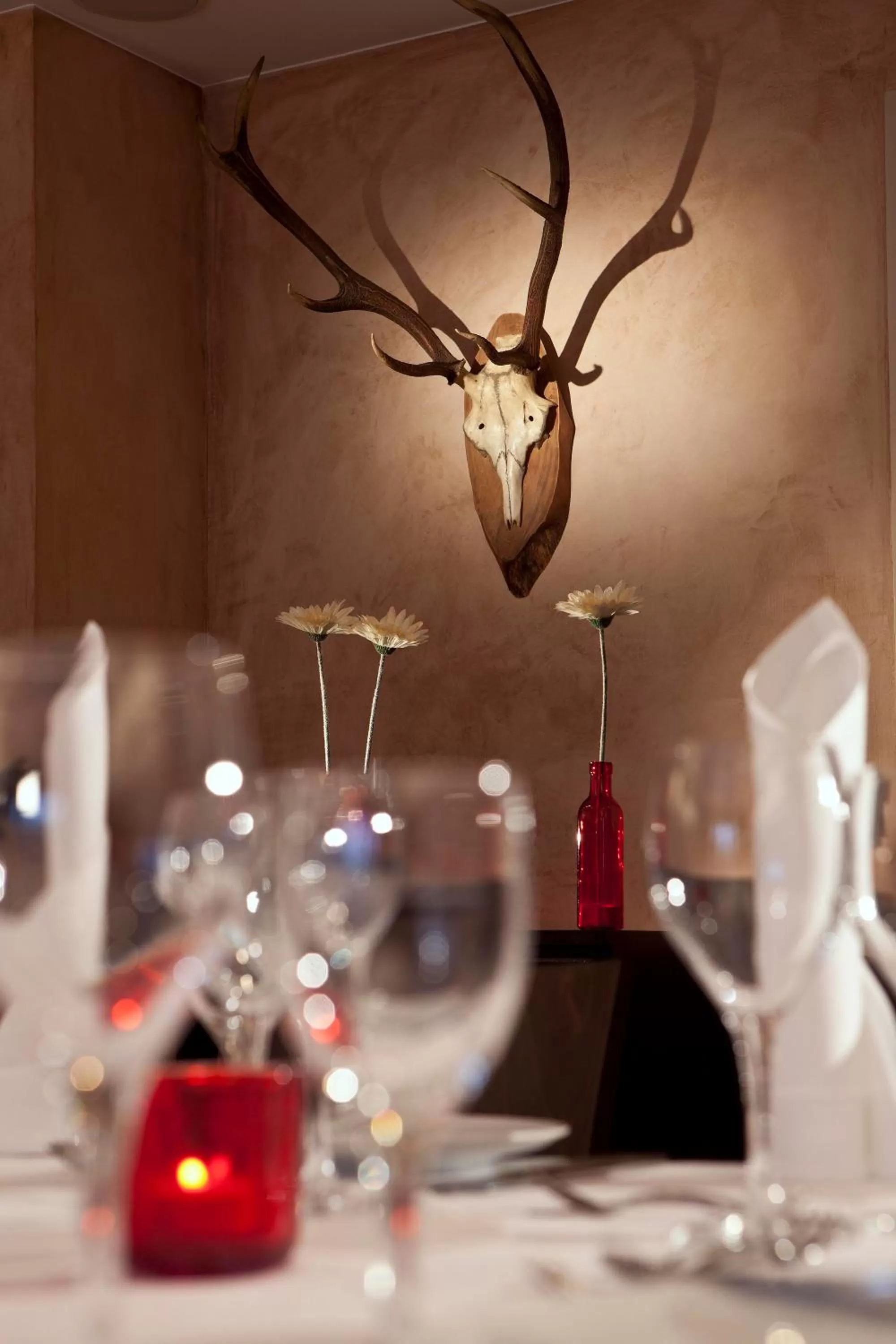 Restaurant/places to eat in Hotel Schiller