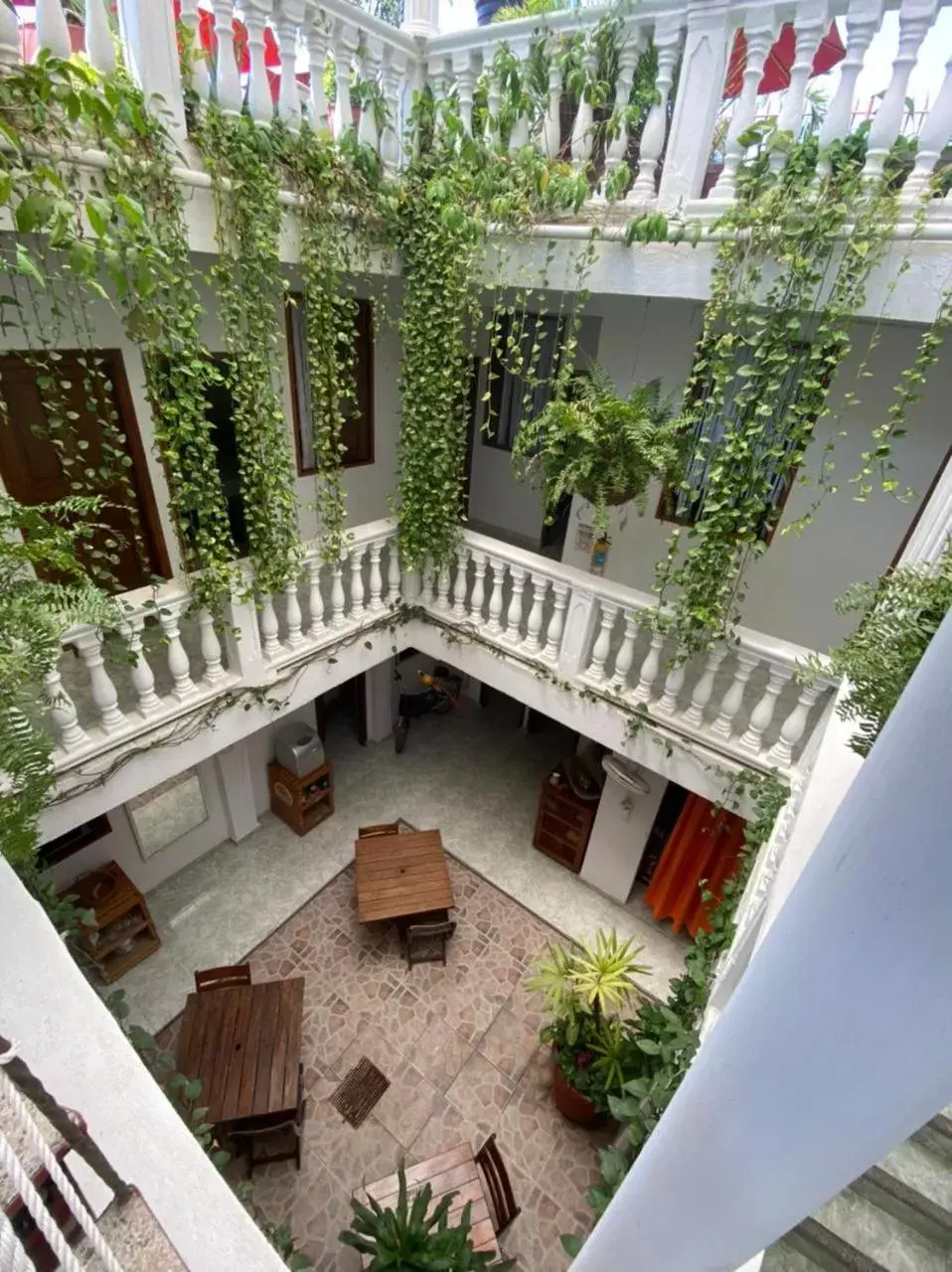 Patio in Patio de Getsemani