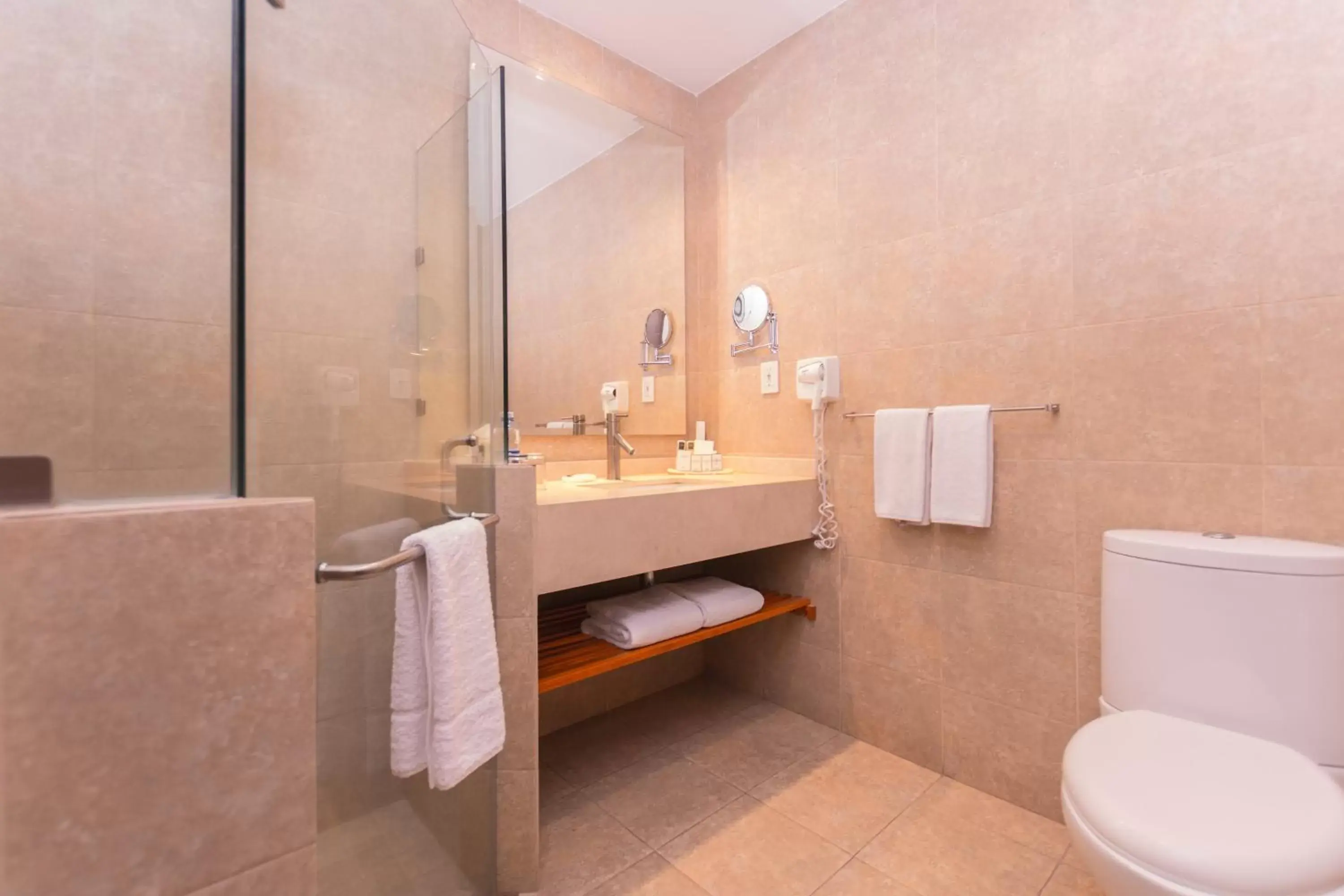 Bathroom in Hotel Crown Victoria