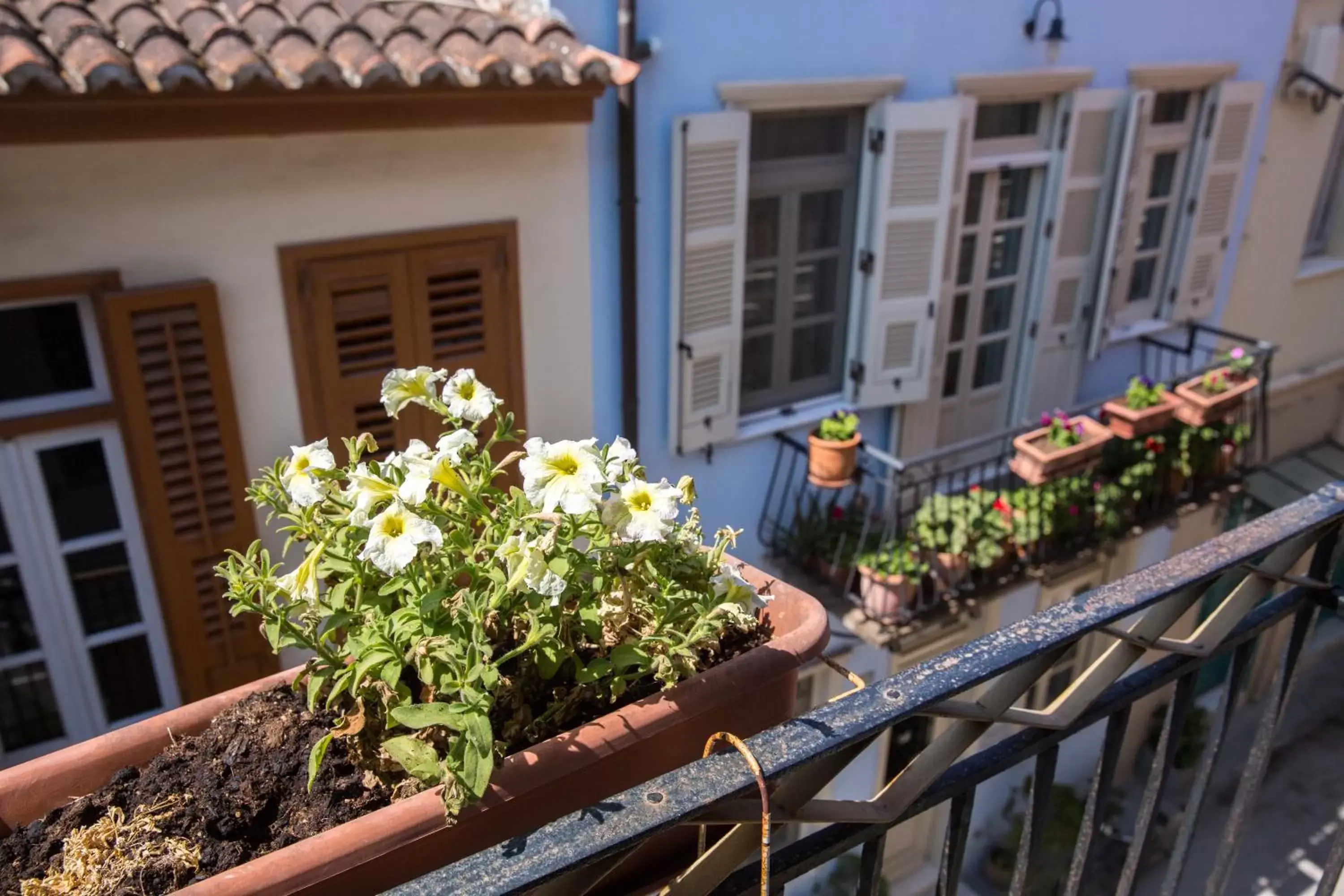 Balcony/Terrace in Dias