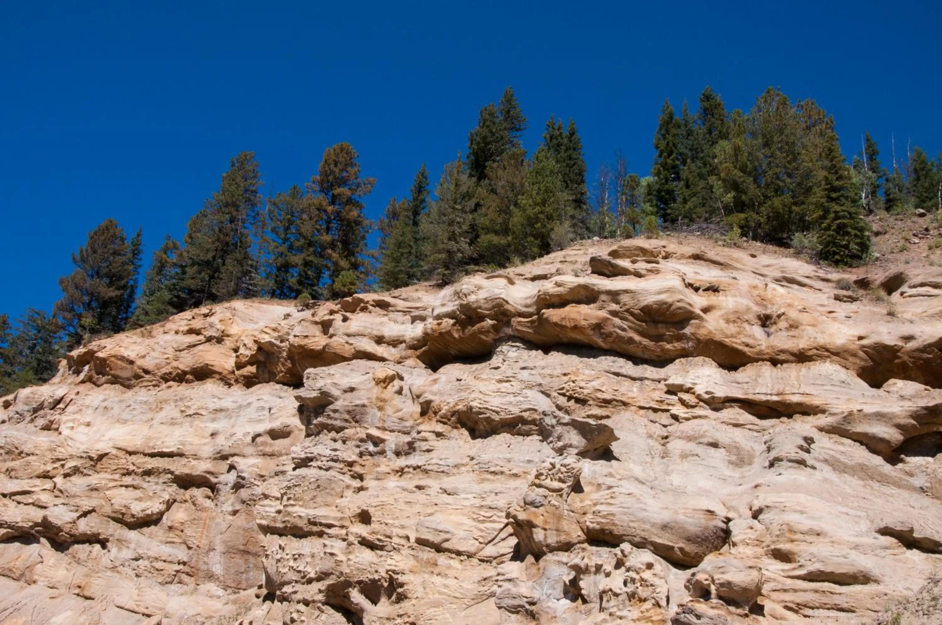 Natural landscape in Alpine Inn