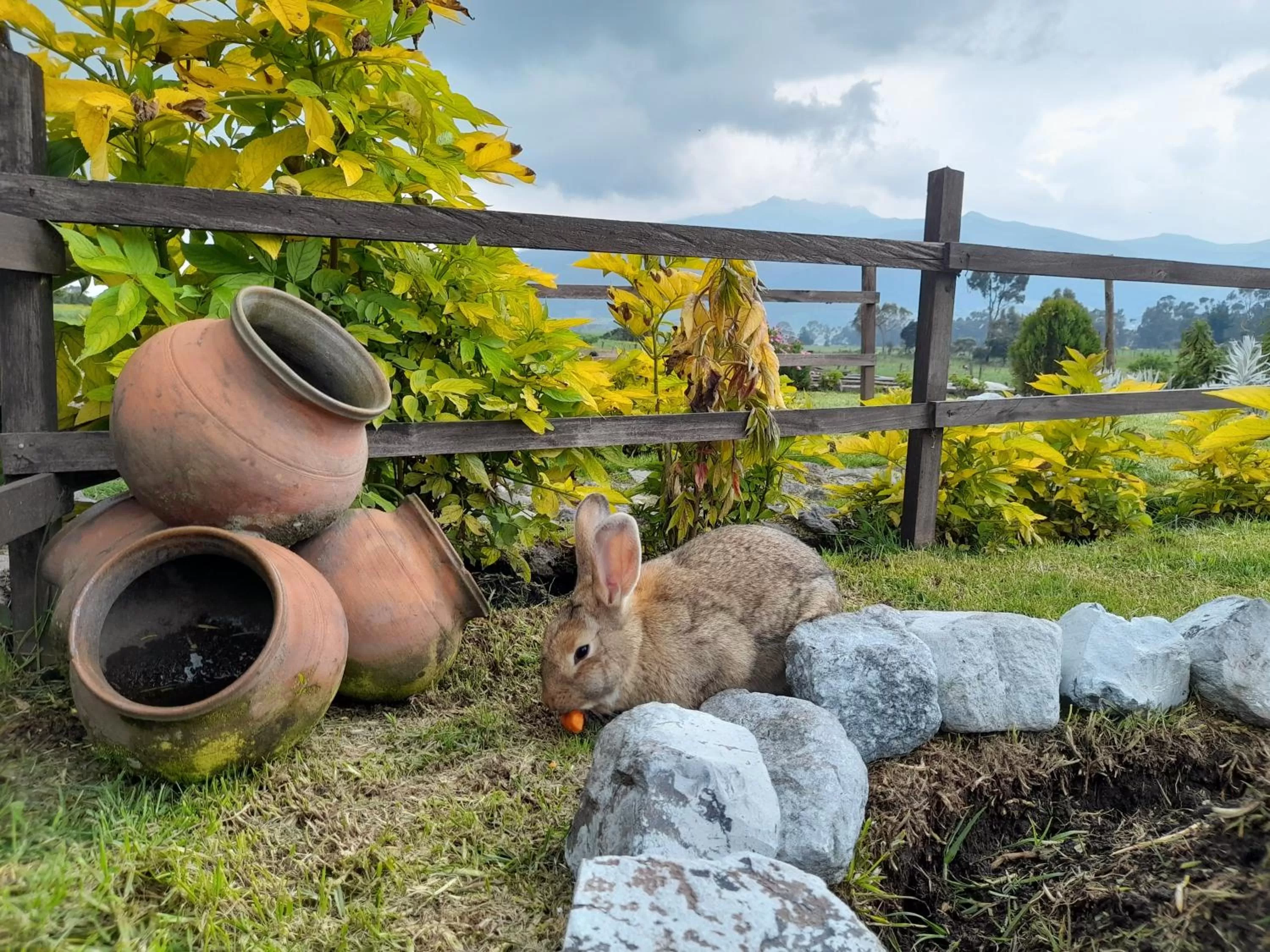 Natural landscape in Ruta de los volcanes