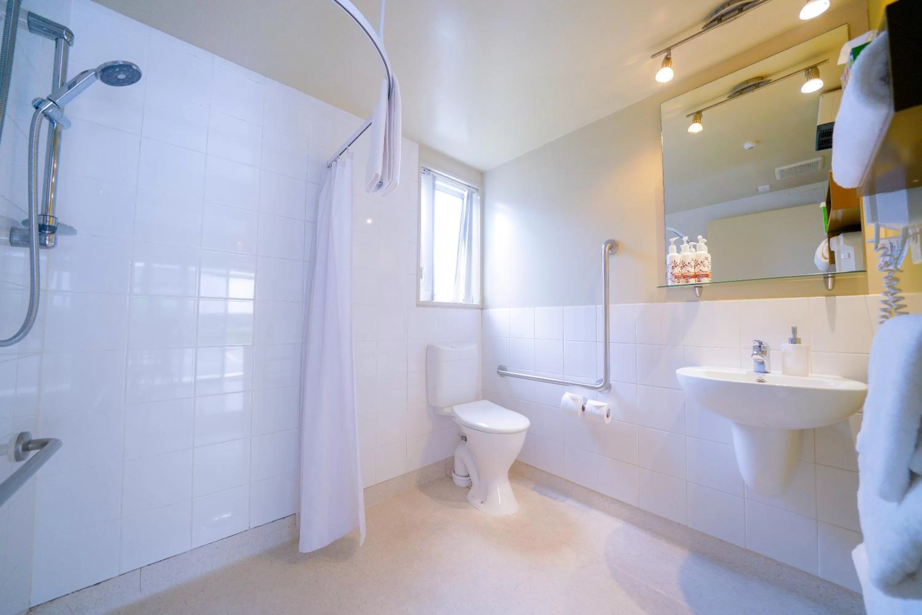 Toilet in CentrePoint on Colombo