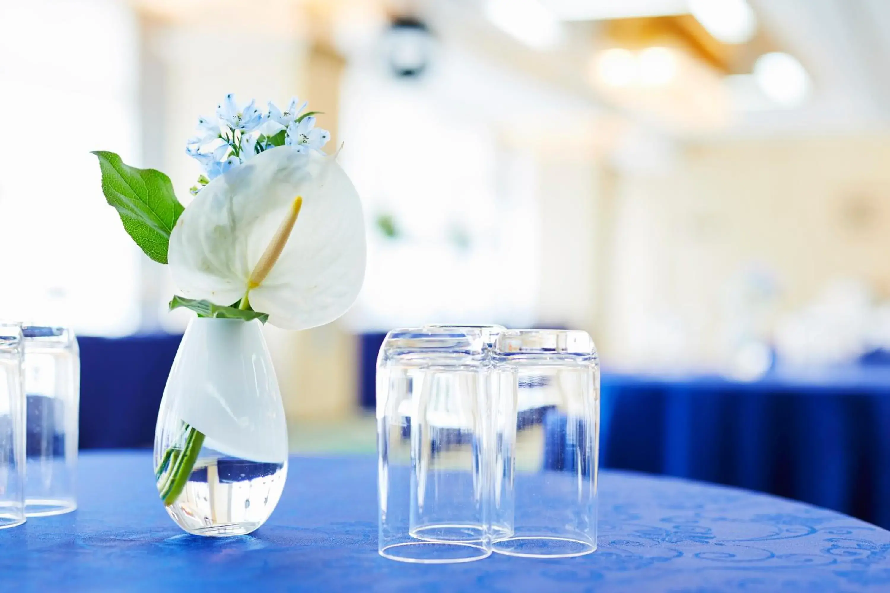 Banquet/Function facilities, Restaurant/Places to Eat in Novotel Okinawa Naha