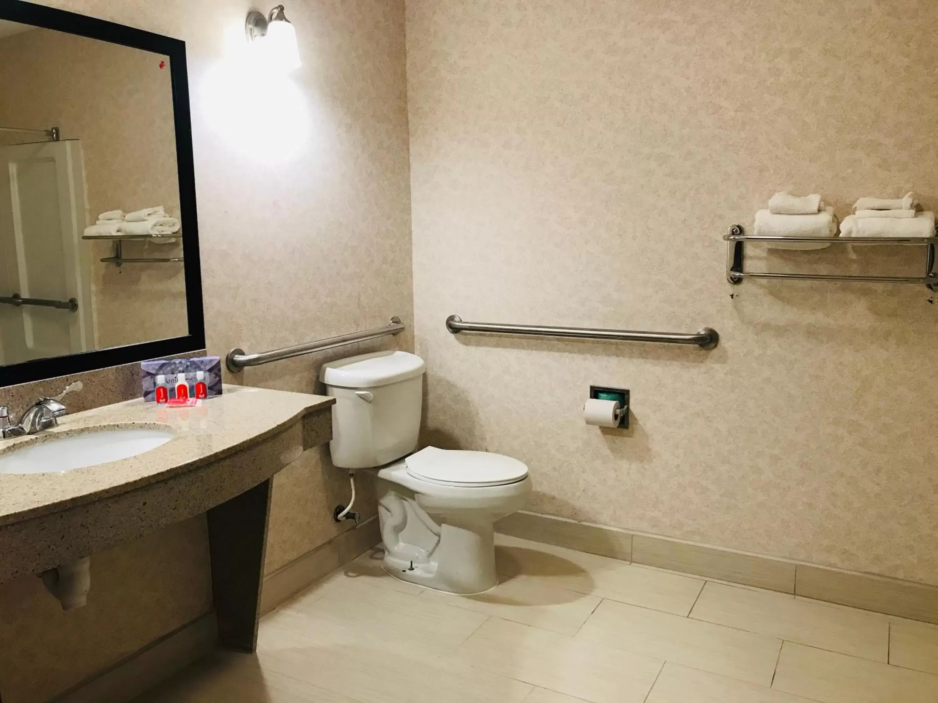 Bathroom in Econo Lodge Inn & Suites Beaumont