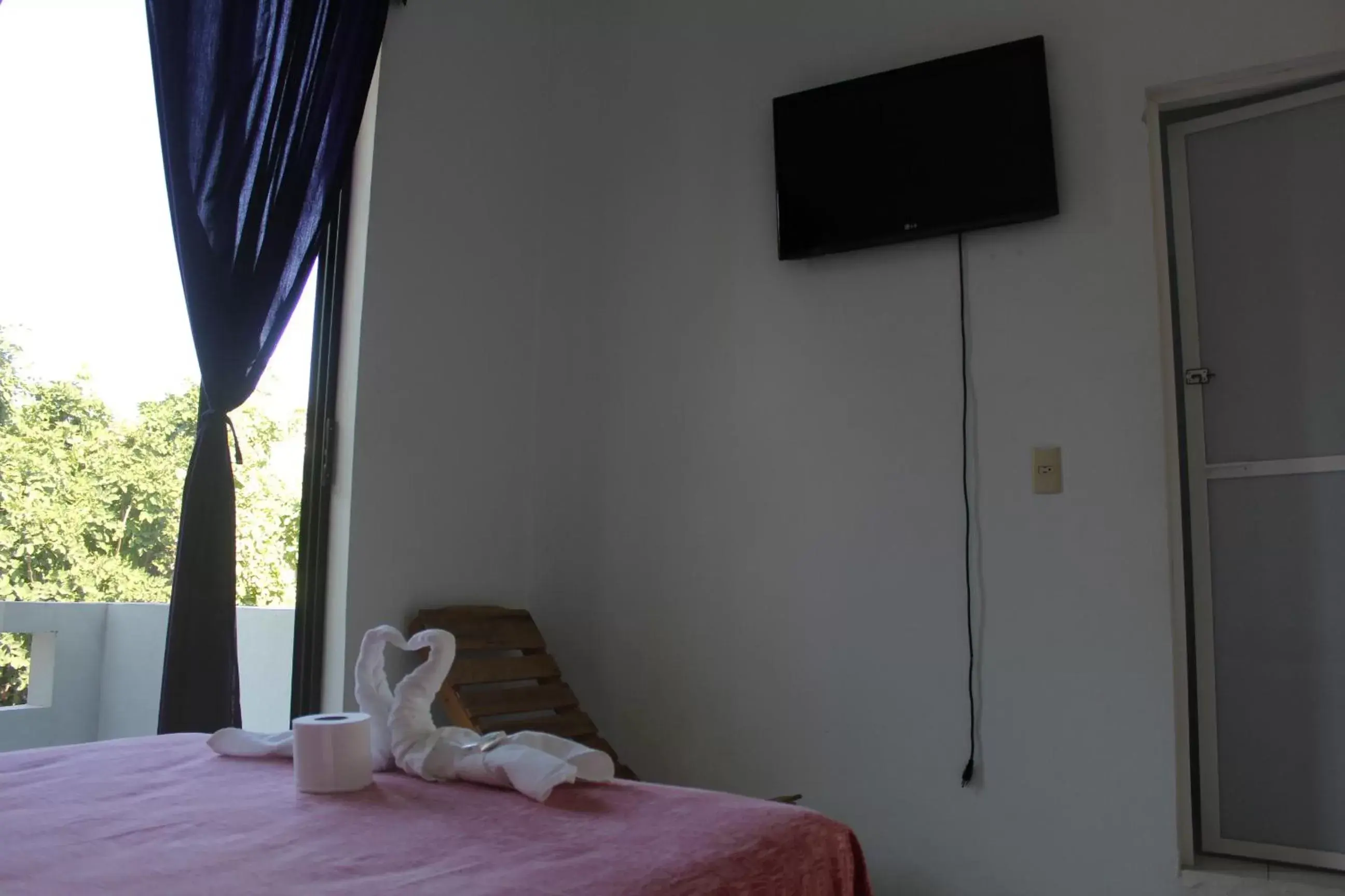 Bed, TV/Entertainment Center in Hotel Palmarito