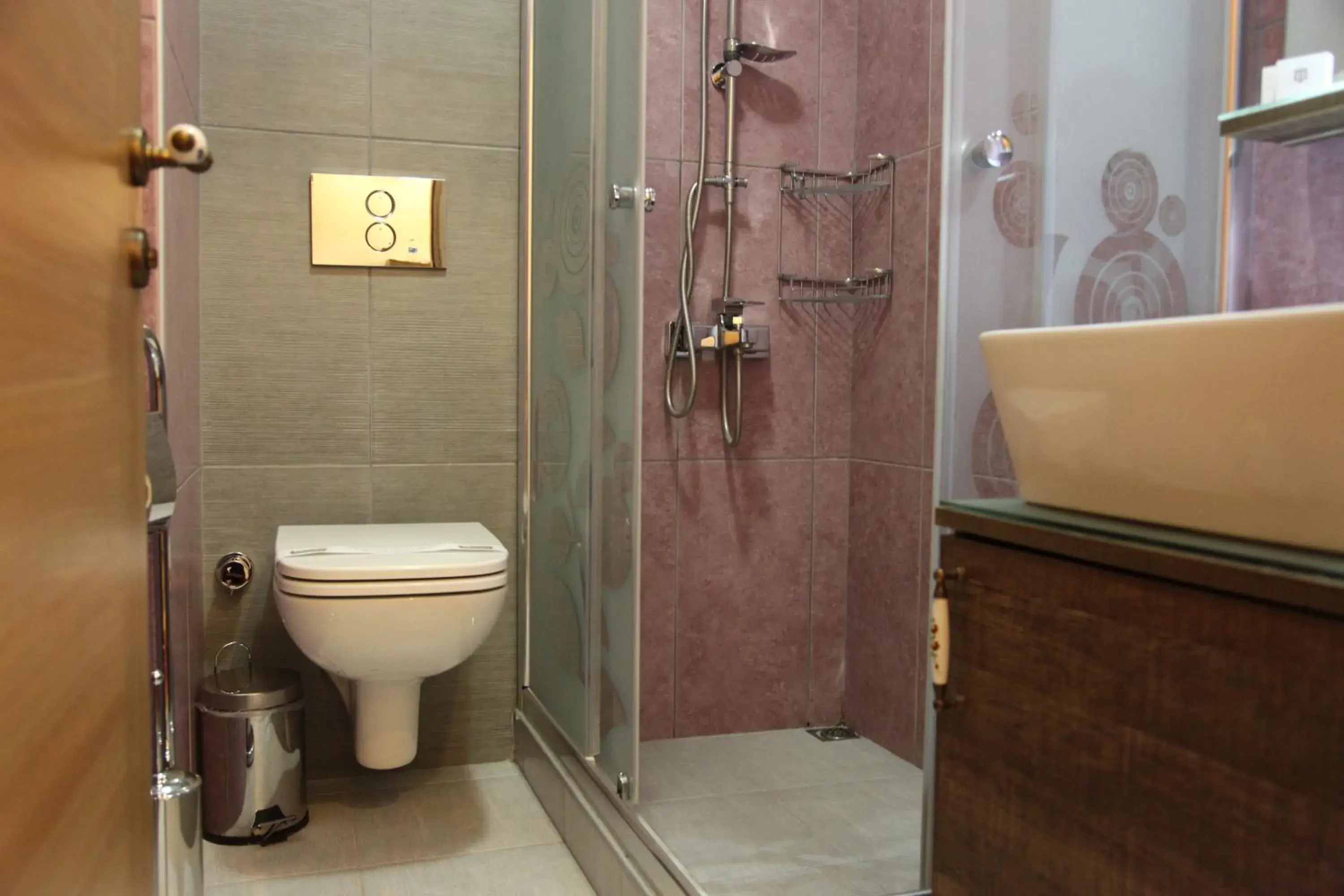 Shower, Bathroom in Borancik Suites