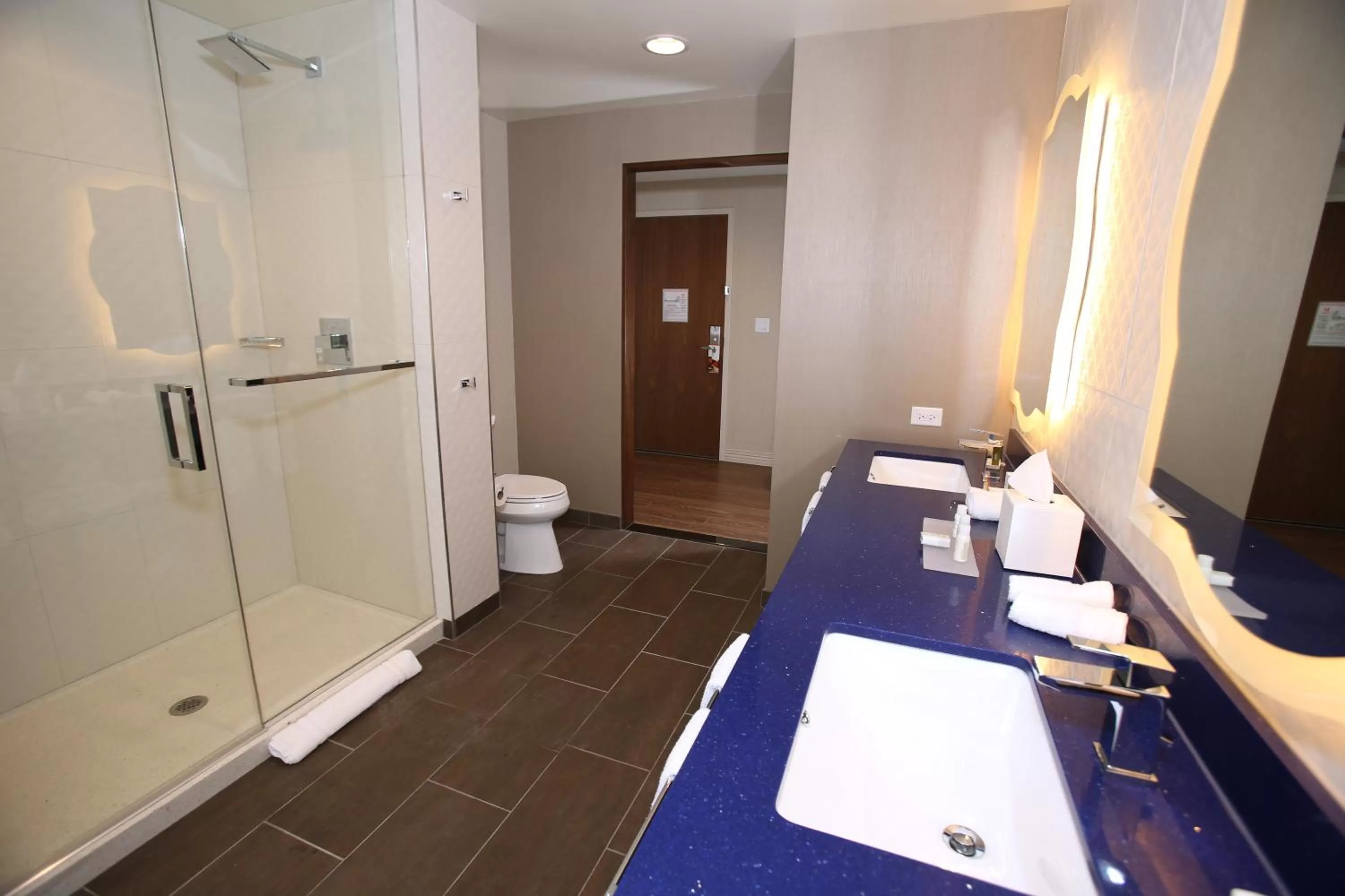 King Room with Terrace - Non-Smoking in Hotel Indigo Naperville Riverwalk, an IHG Hotel