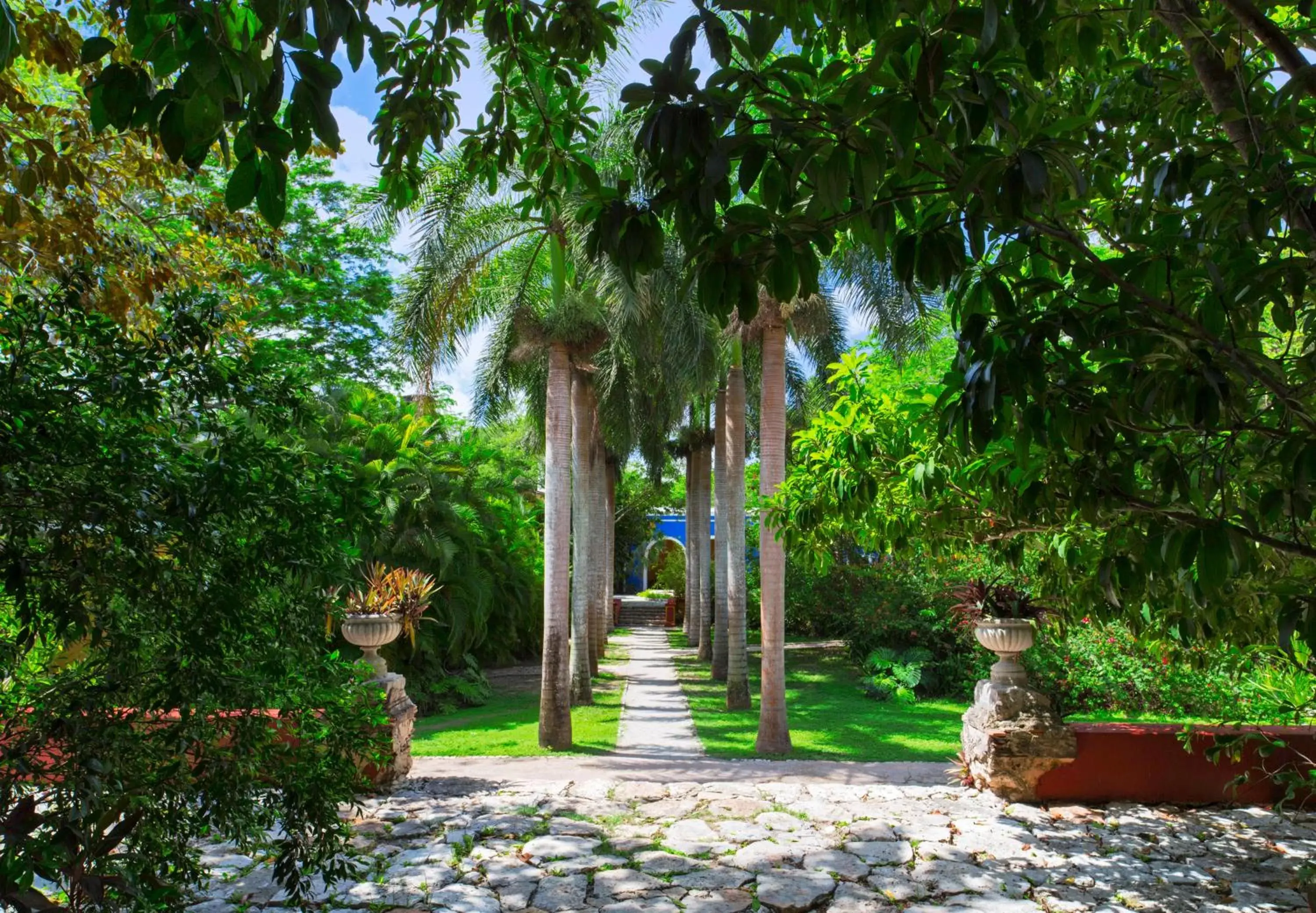 Garden view, Garden in Hacienda San Jose