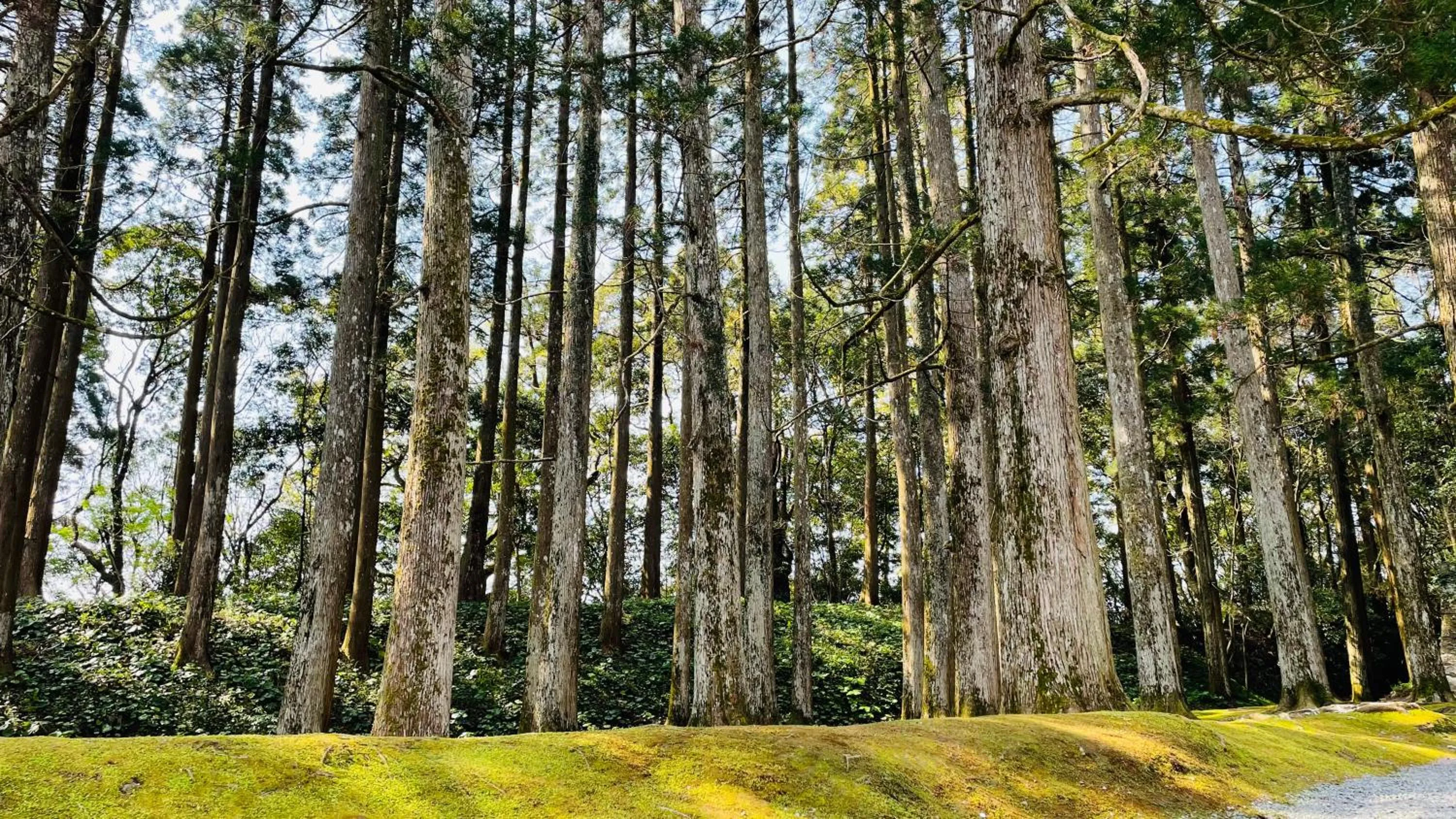 Natural landscape in Route Inn Grantia Aoshima Taiyokaku