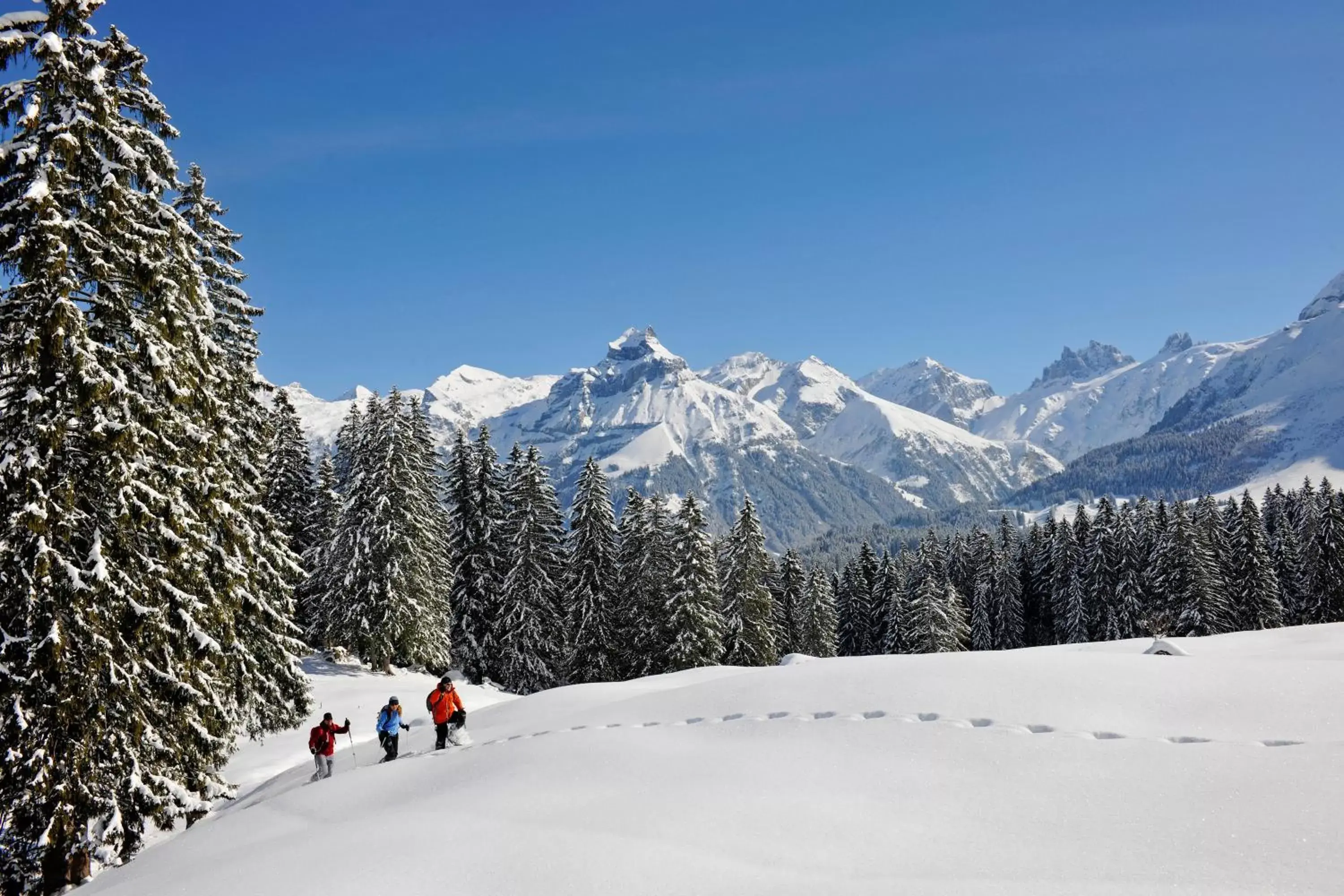 Location, Winter in Kempinski Palace Engelberg