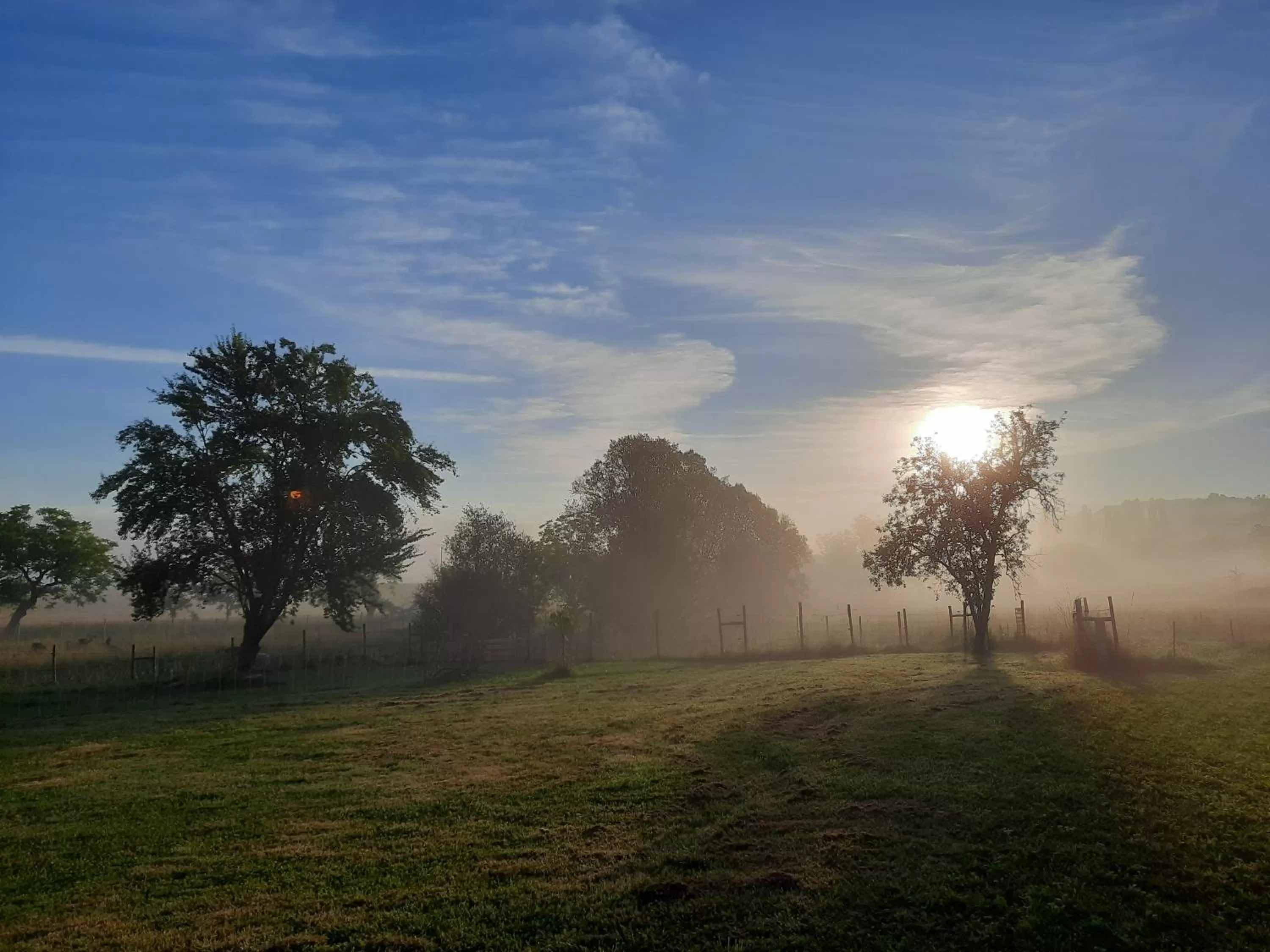 Garden in Ferme des Petites Oreilles 4 étoiles
