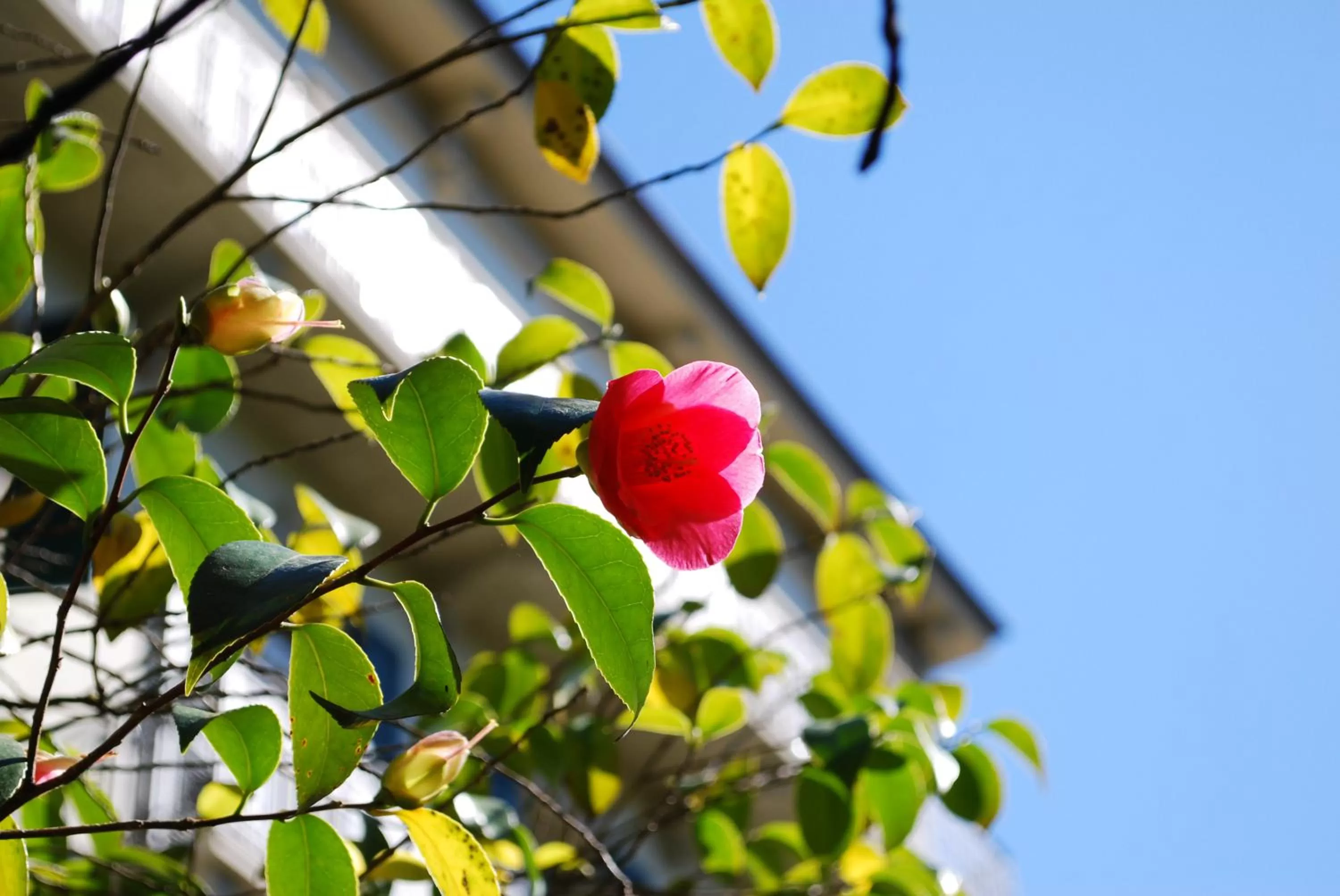 Other in Continental Parkhotel