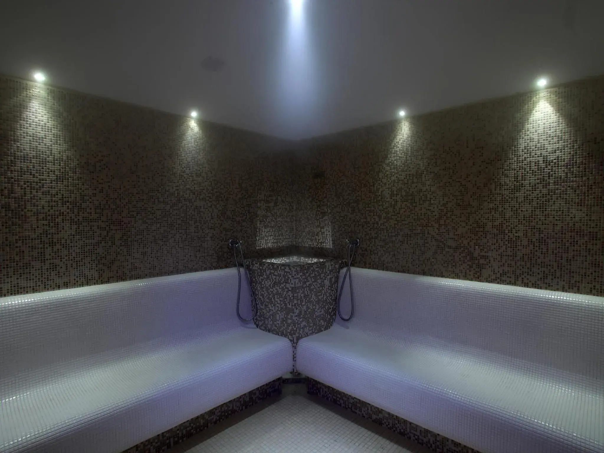 Hot Spring Bath, Spa/Wellness in Hotel Terme Royal Palm