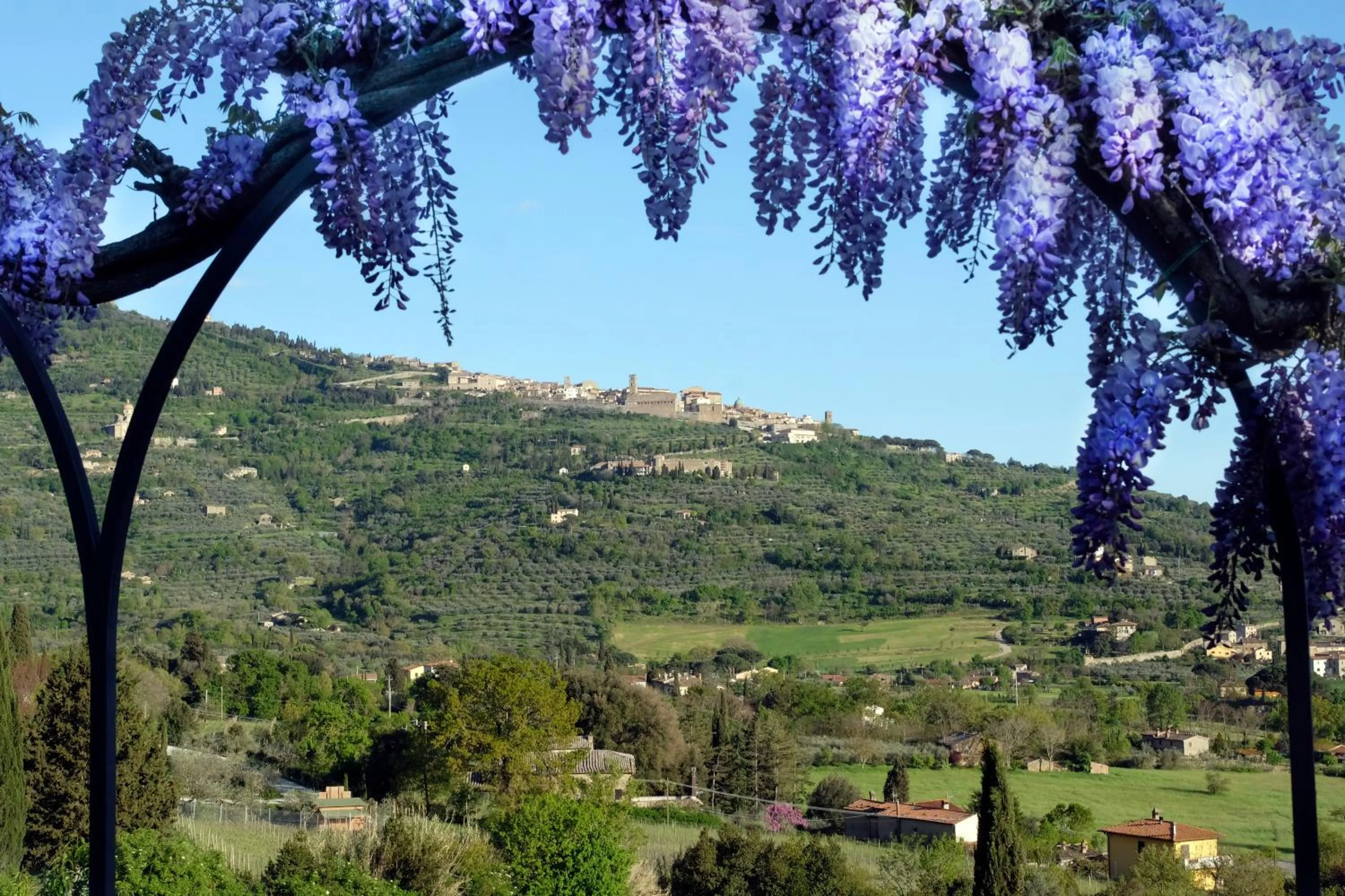 Natural landscape in Il Falconiere Relais & Spa