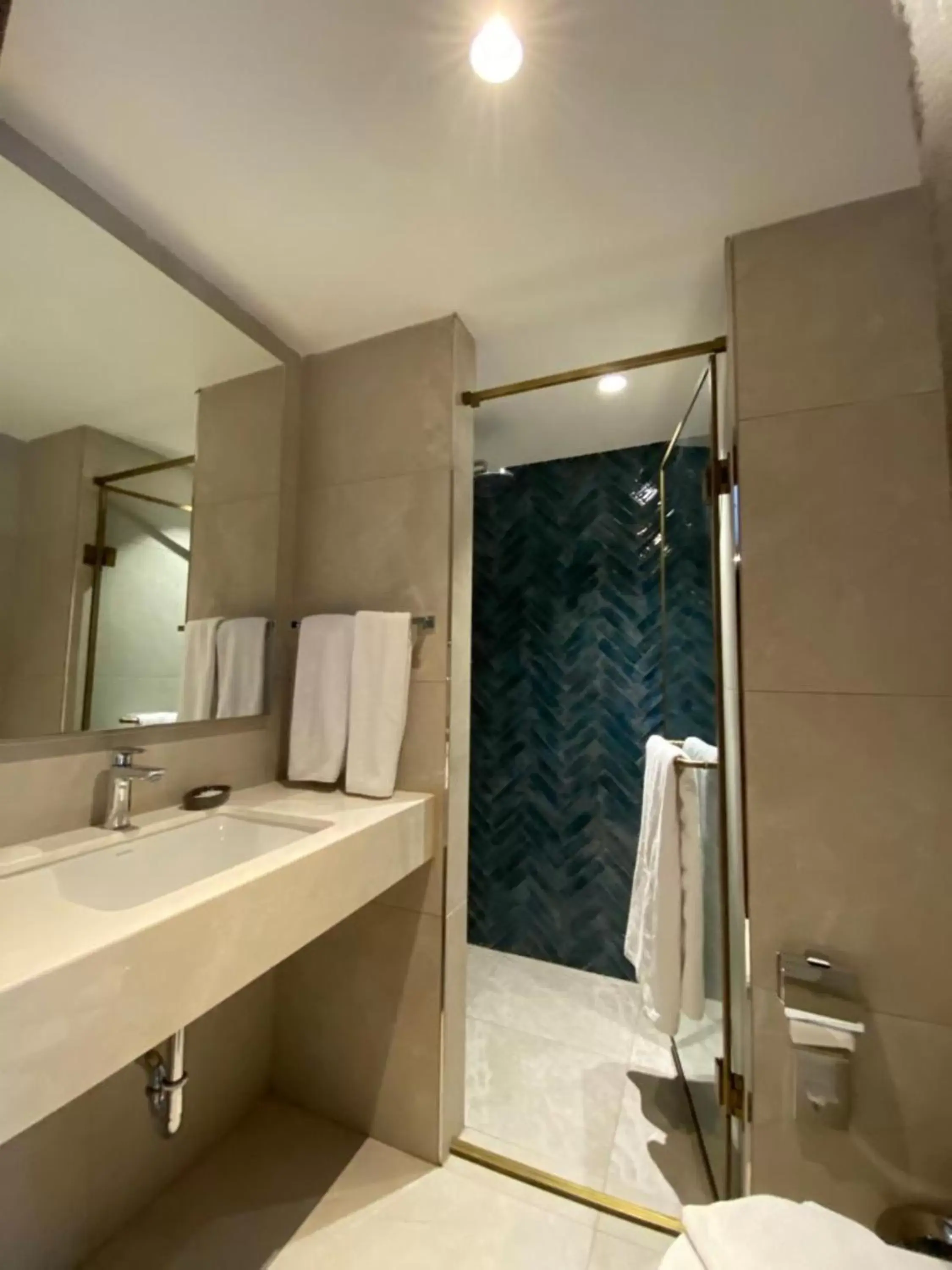 Shower, Bathroom in Armagrandi Spina Hotel-Special Category