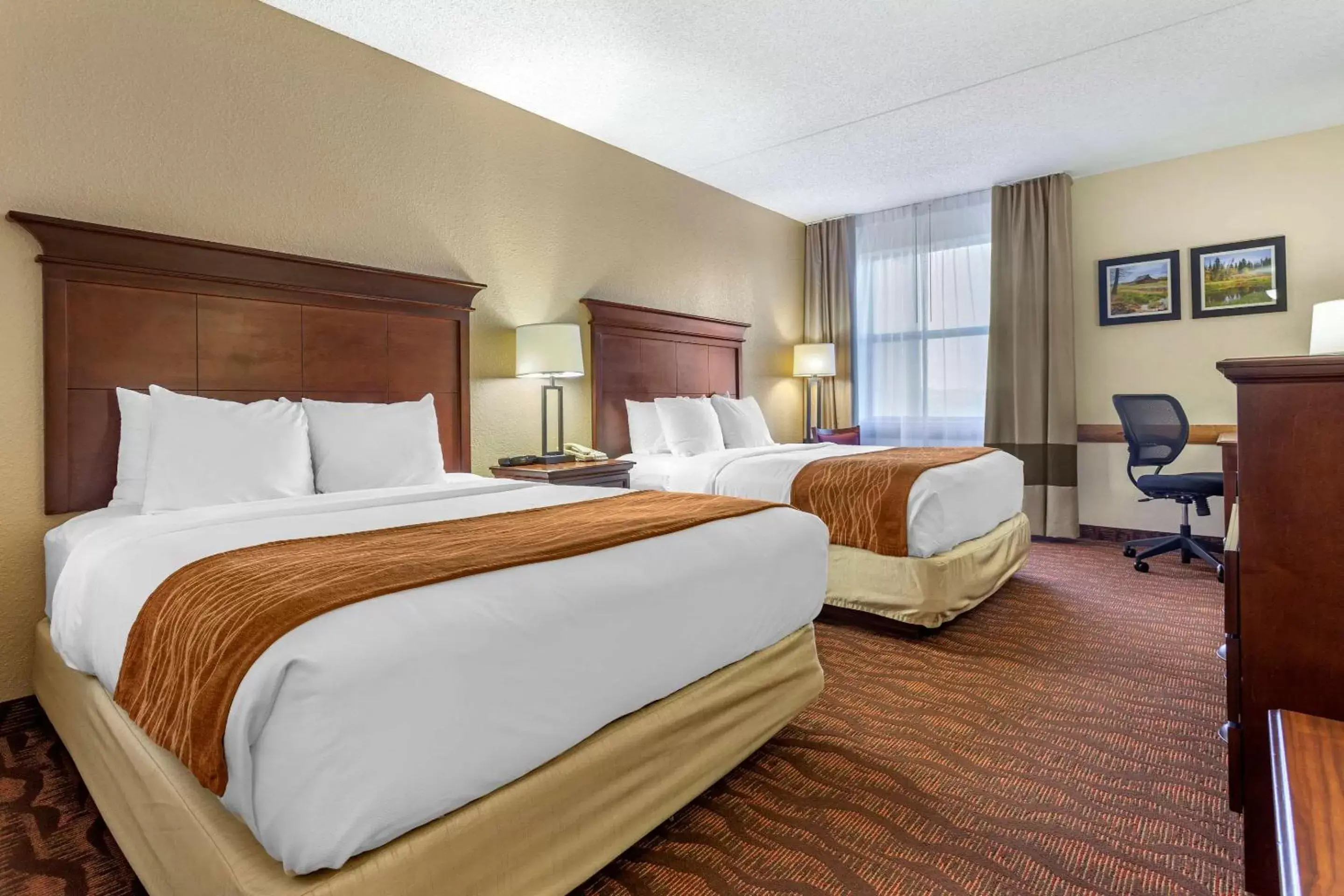 Photo of the whole room in Comfort Inn & Suites Branson Meadows