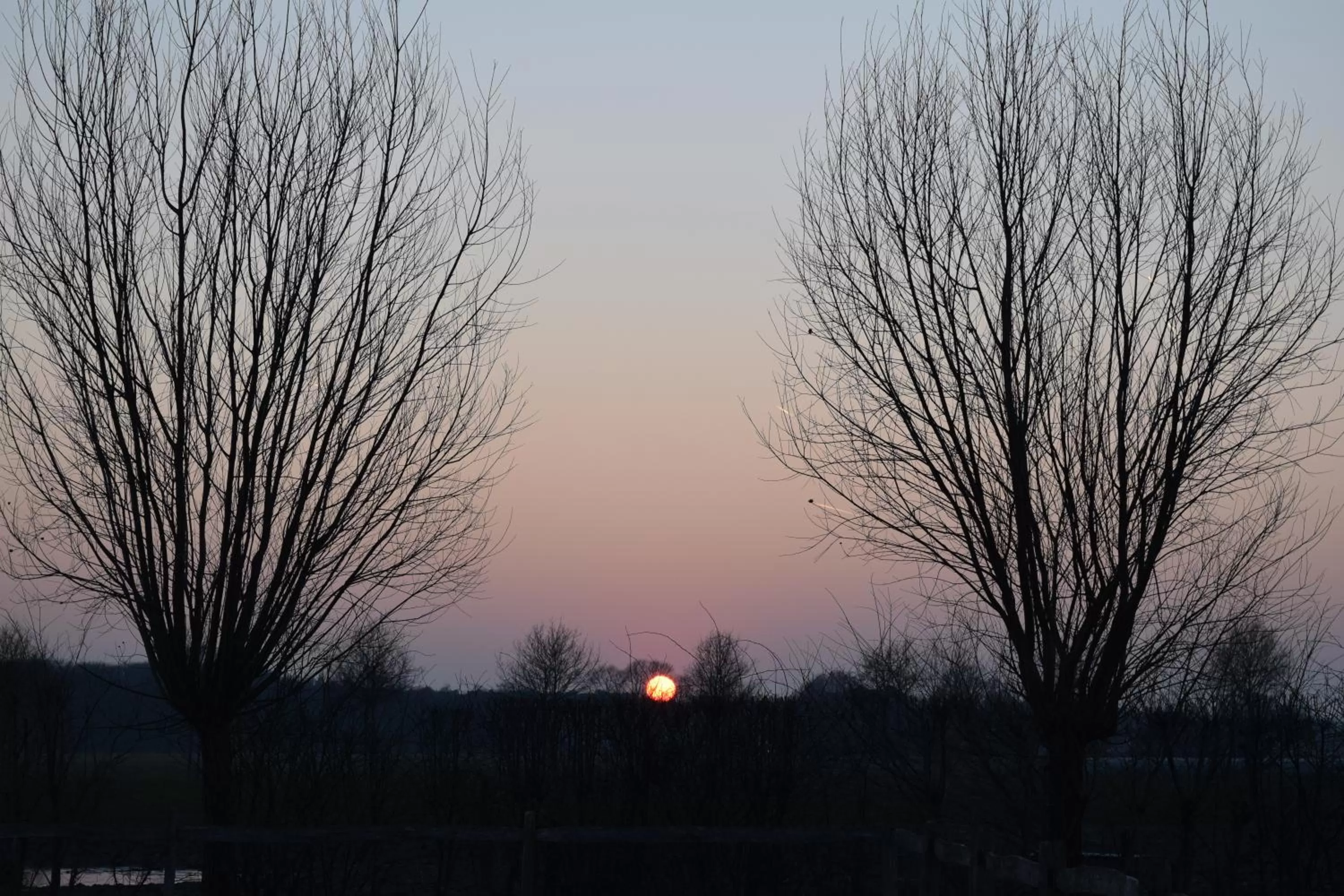 Area and facilities in B&B De Vossenbarm