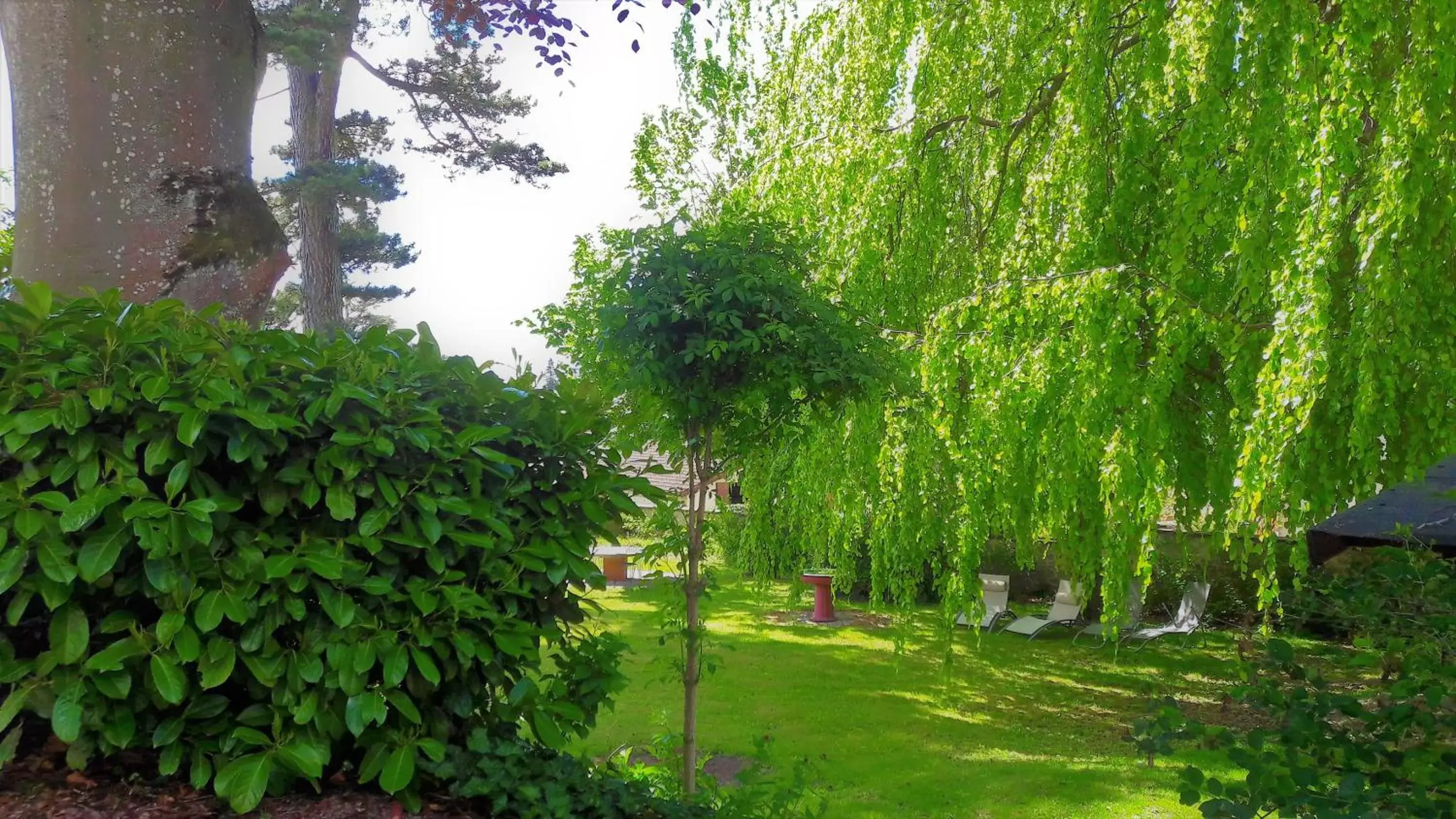 Garden in Chez Martine et Philippe en Velay