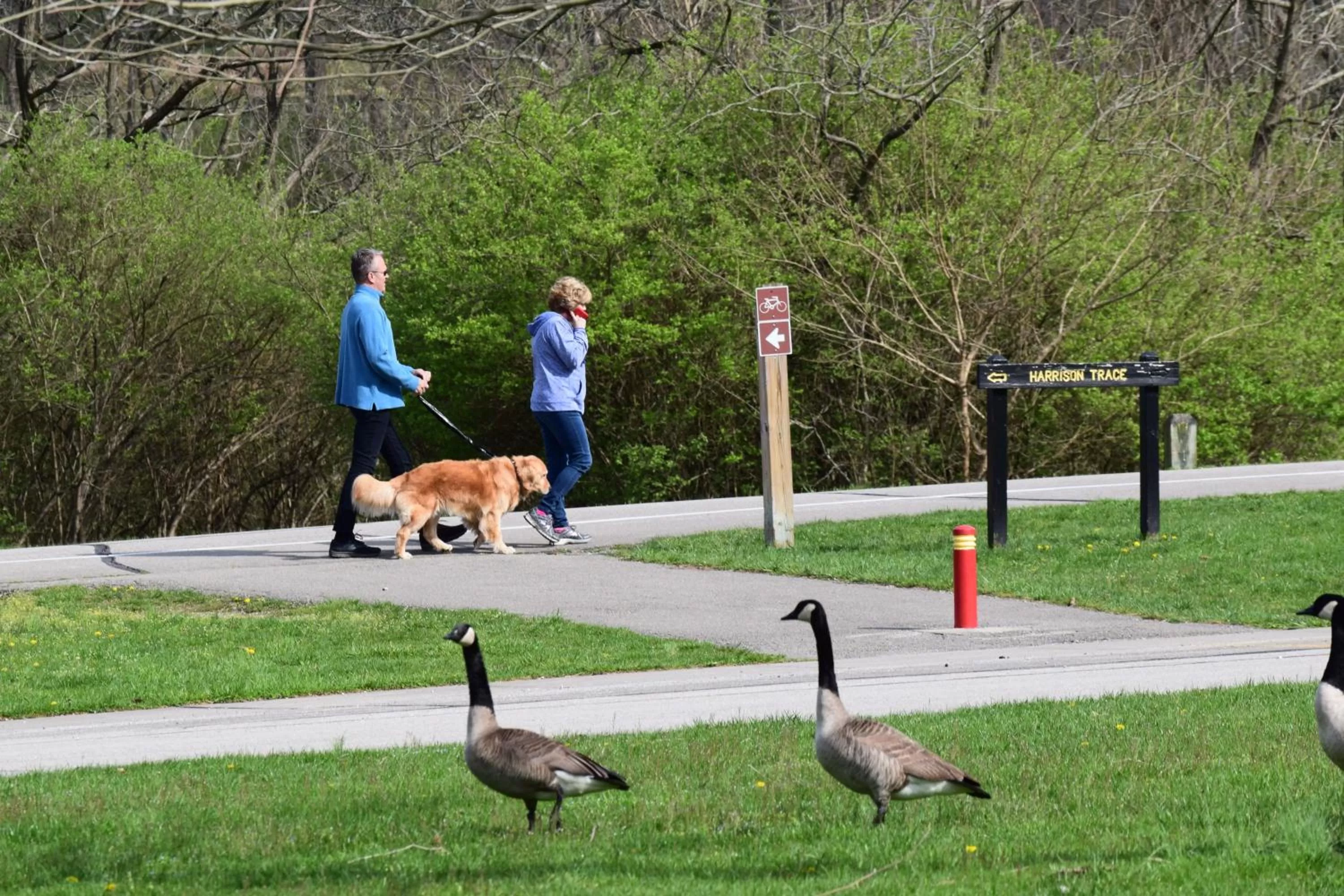 Hiking, Other Animals in Fort Harrison State Park Inn