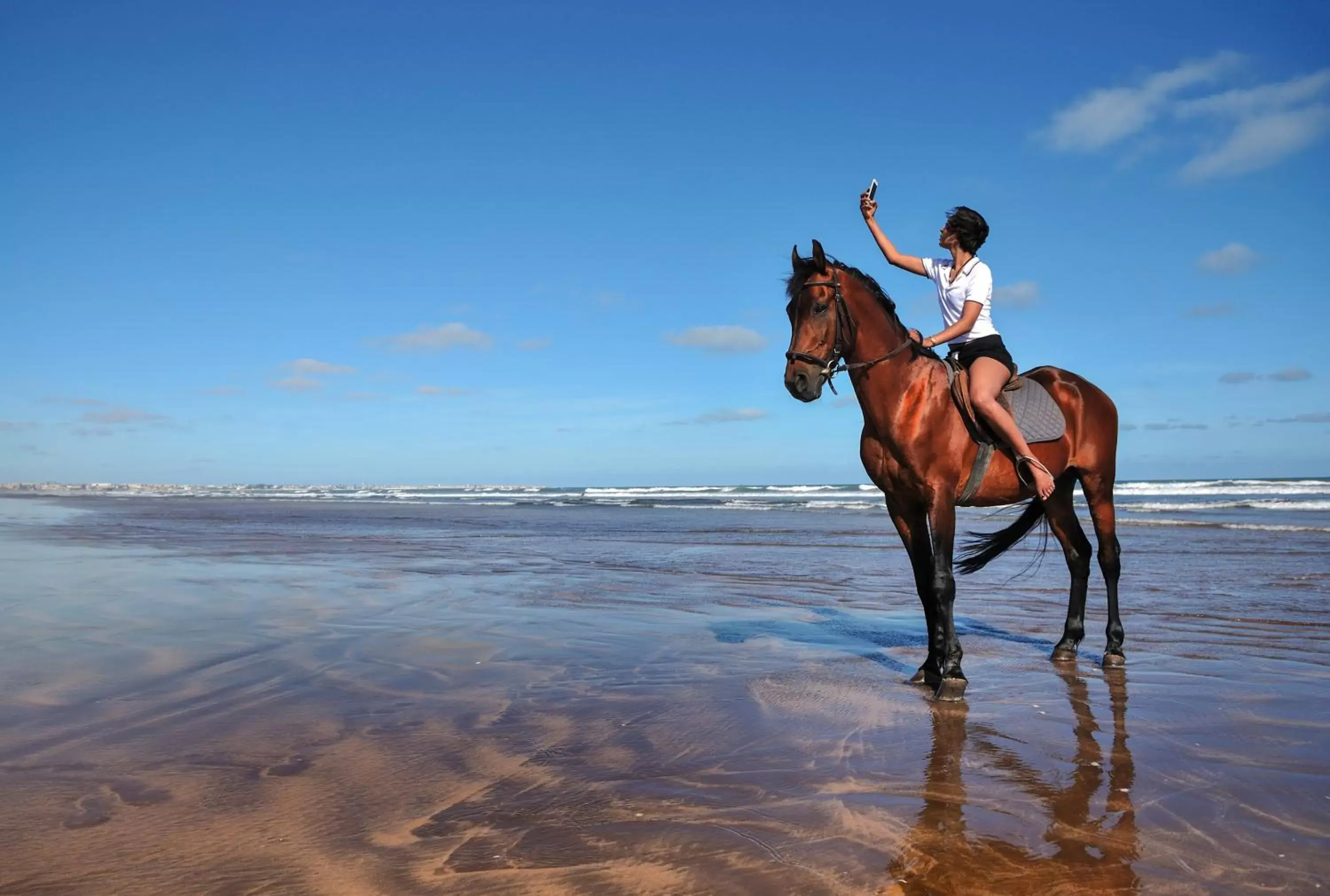 Day, Horseback Riding in Pullman Mazagan Royal Golf & Spa