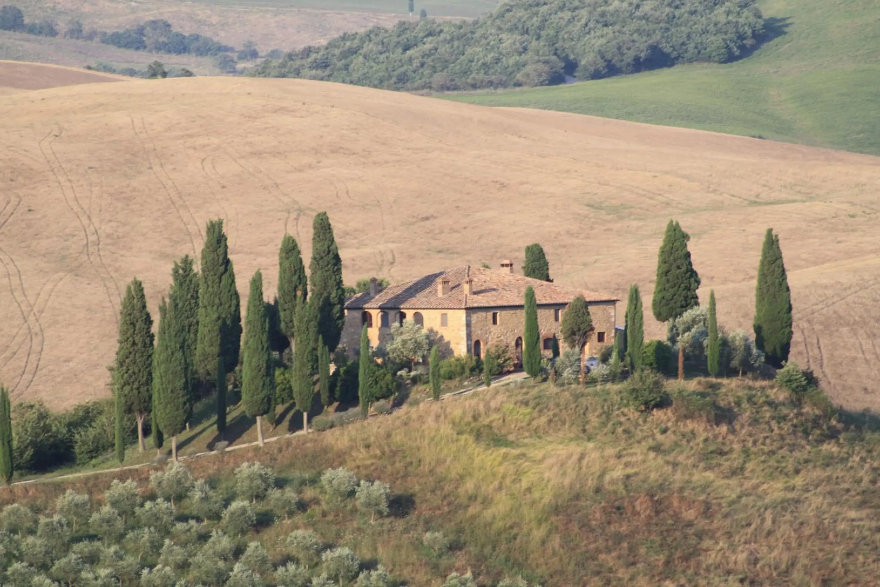 View (from property/room) in Il Garibaldi