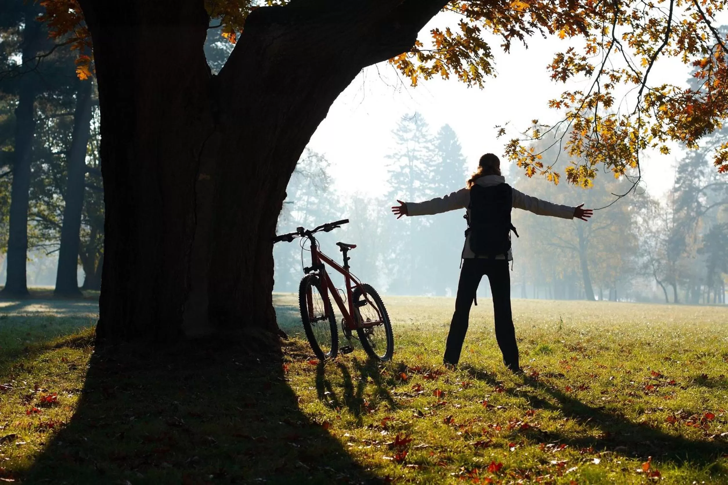 Shower in Centrale Hotel und Restaurant