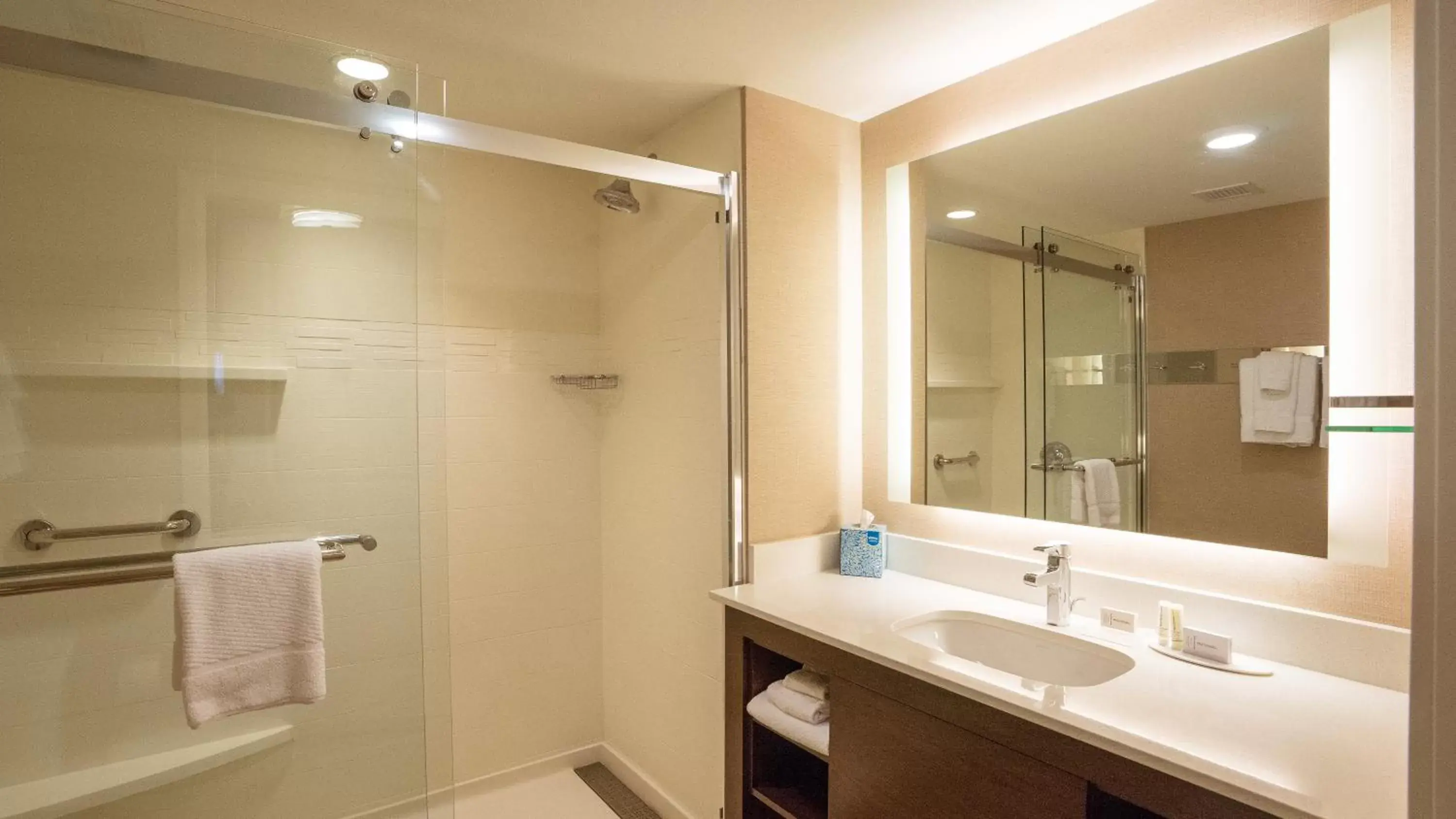 Bathroom in Residence Inn by Marriott Seattle University District