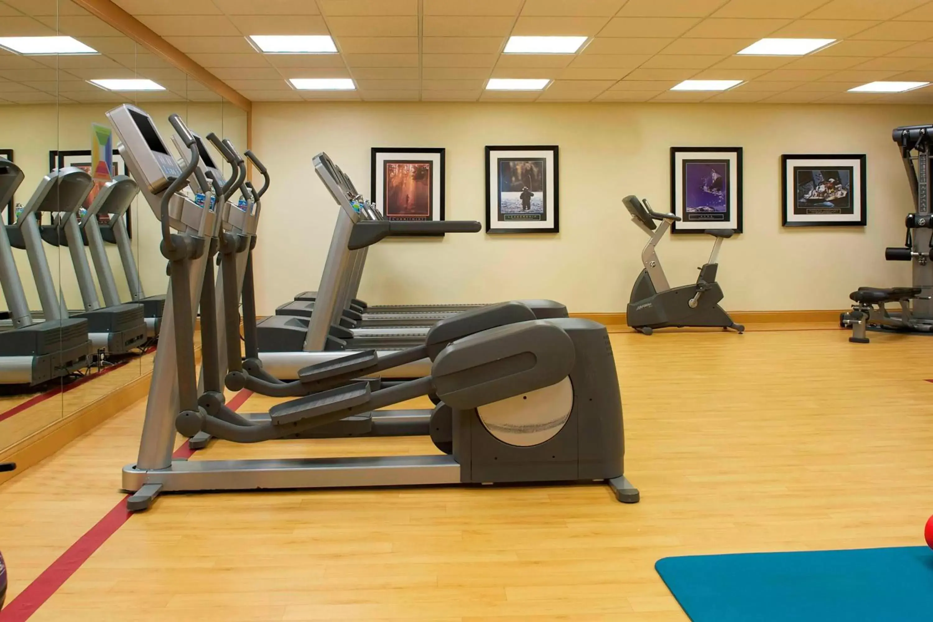 Fitness centre/facilities, Fitness Center/Facilities in Sheraton Minneapolis West Hotel