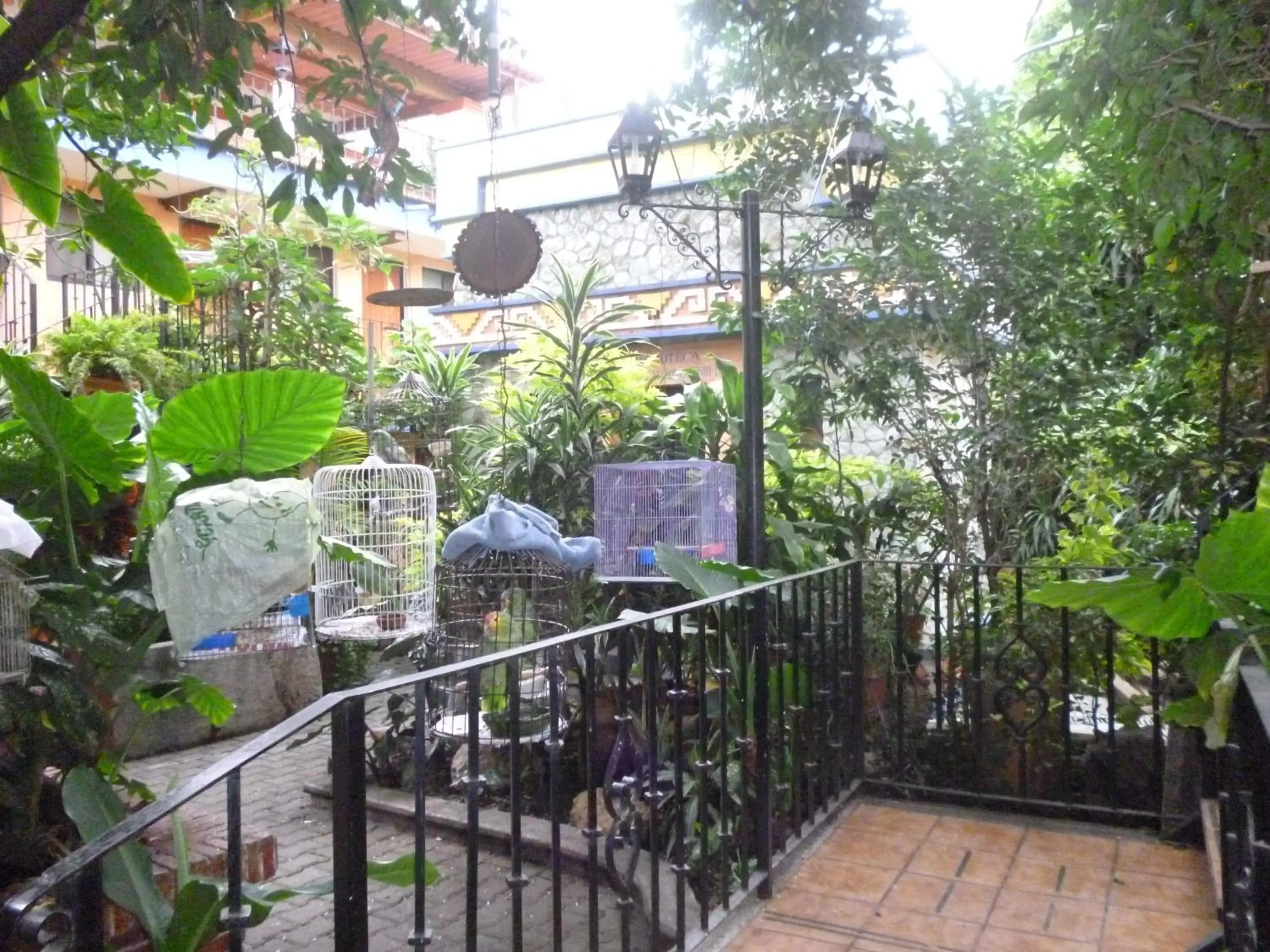 Balcony/Terrace in Hotel Casa Arnel