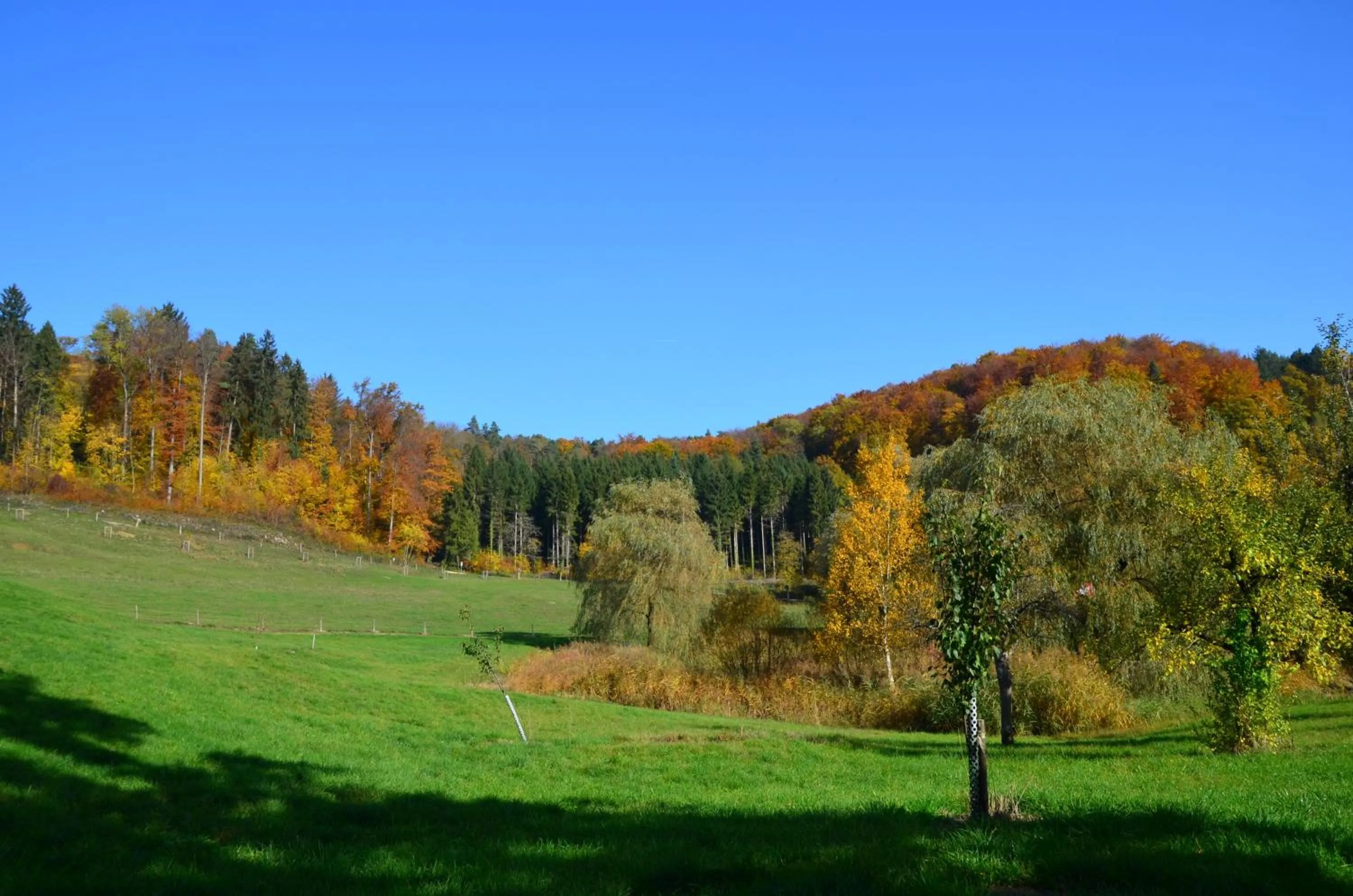 Day in Bad Schauenburg