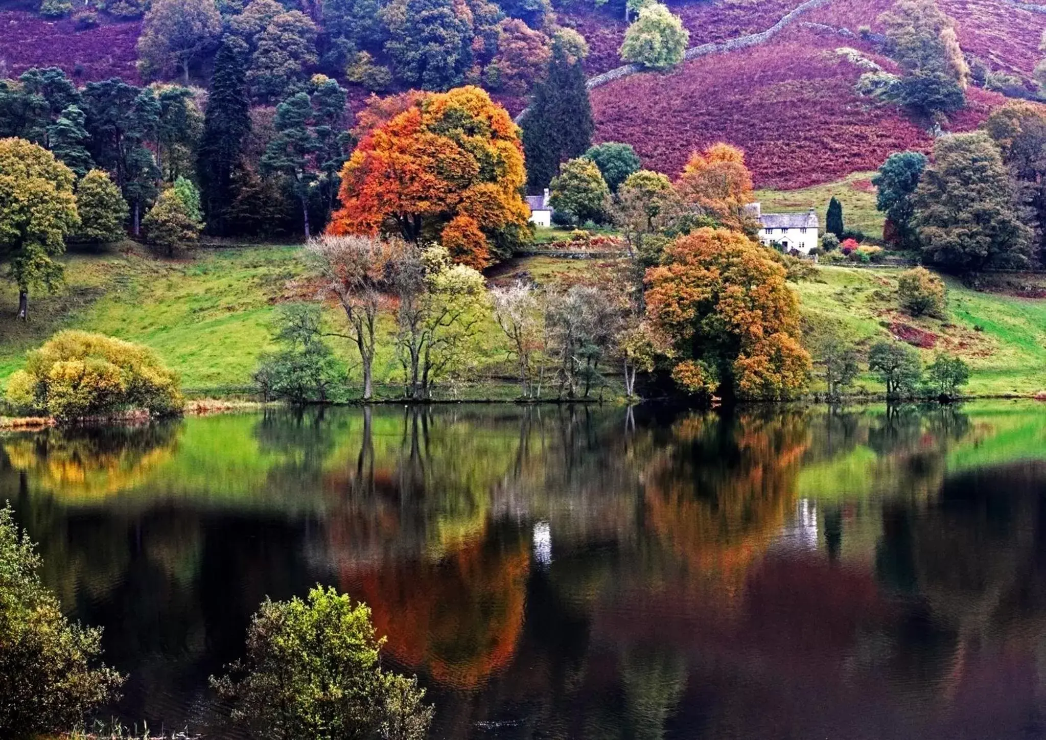 Natural landscape in Storrs Gate House