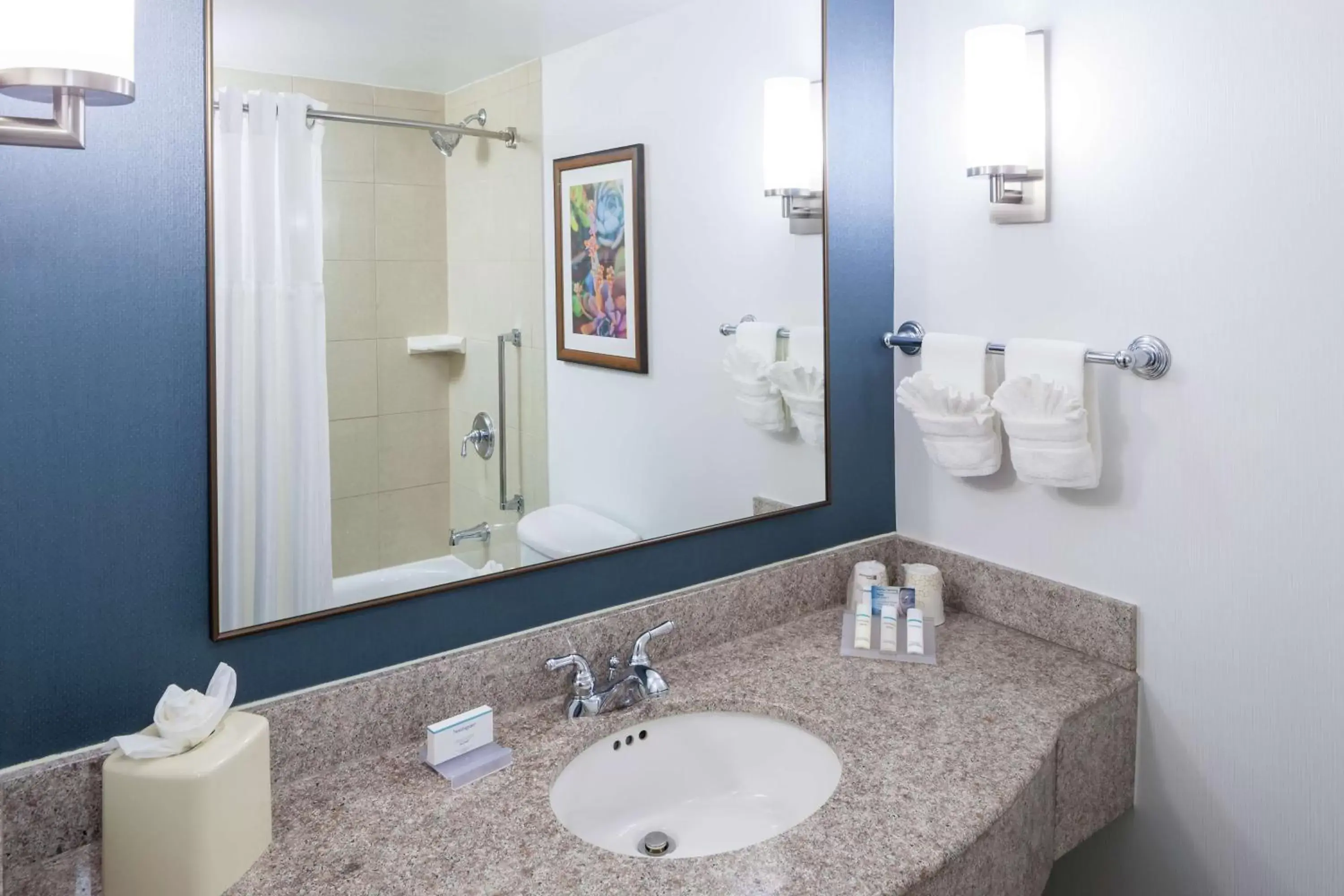 Bathroom in Hilton Garden Inn Dallas/Allen