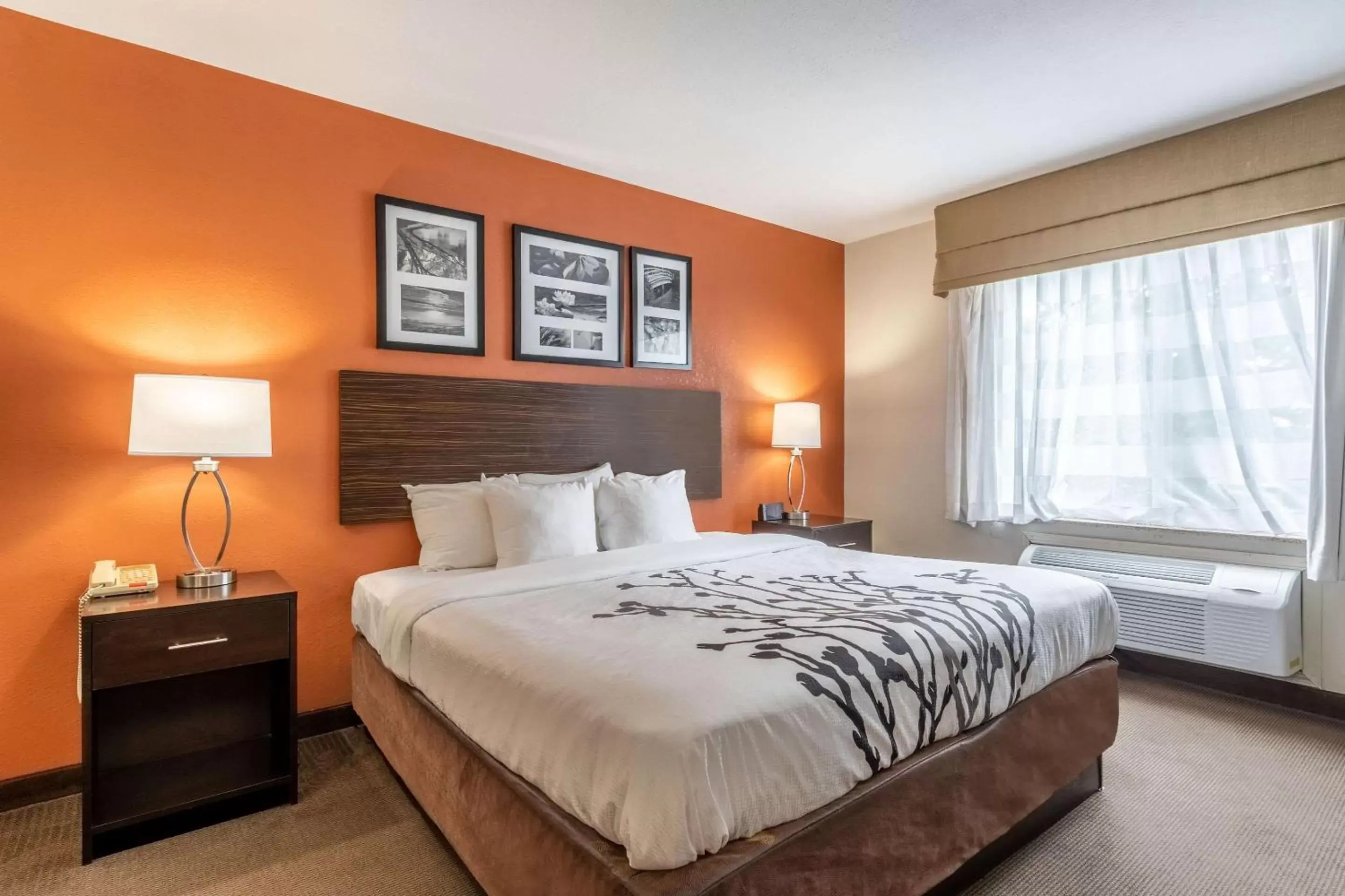 Bedroom, Bed in Sleep Inn & Suites Ronks