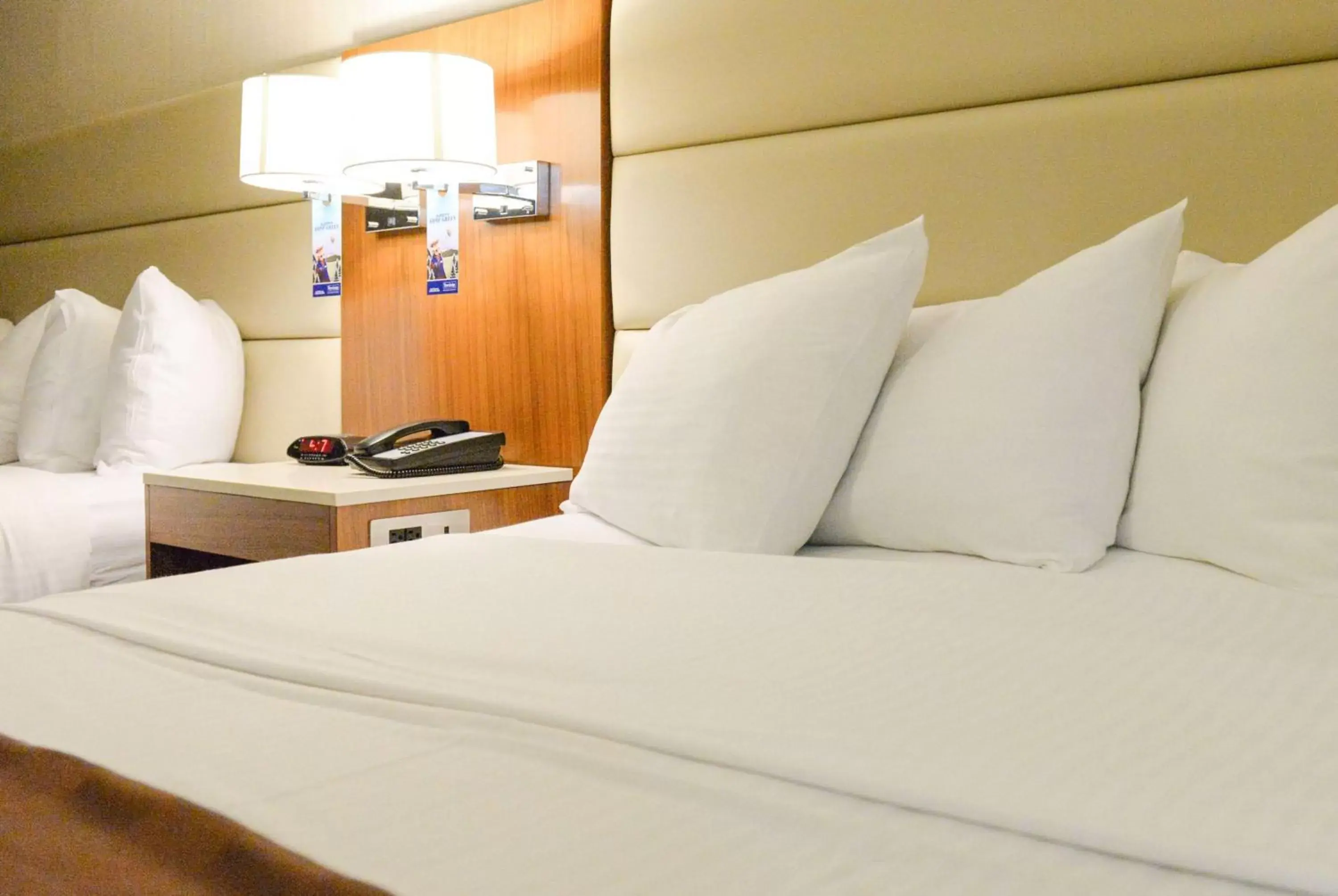 Photo of the whole room, Bed in Travelodge by Wyndham Culver City Photo of the whole room, Bed in Travelodge by Wyndham Culver City