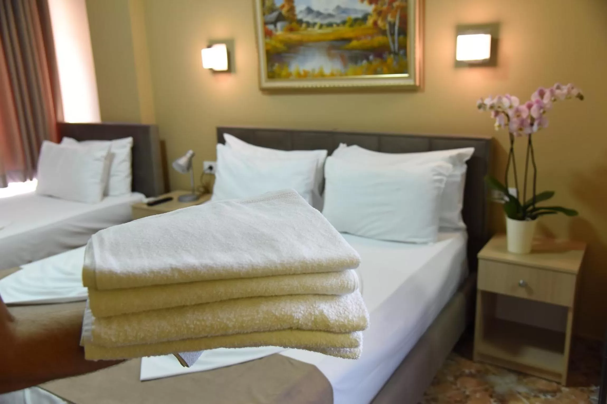 Triple Room in Centrum Hotel