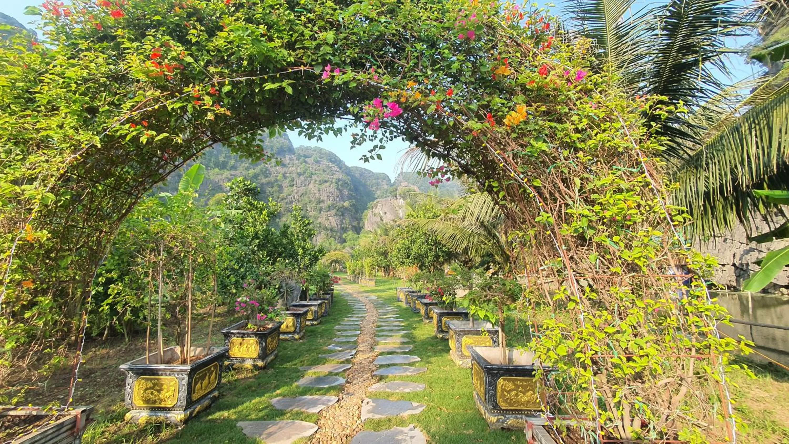 Garden in Fairy Mountain Retreat