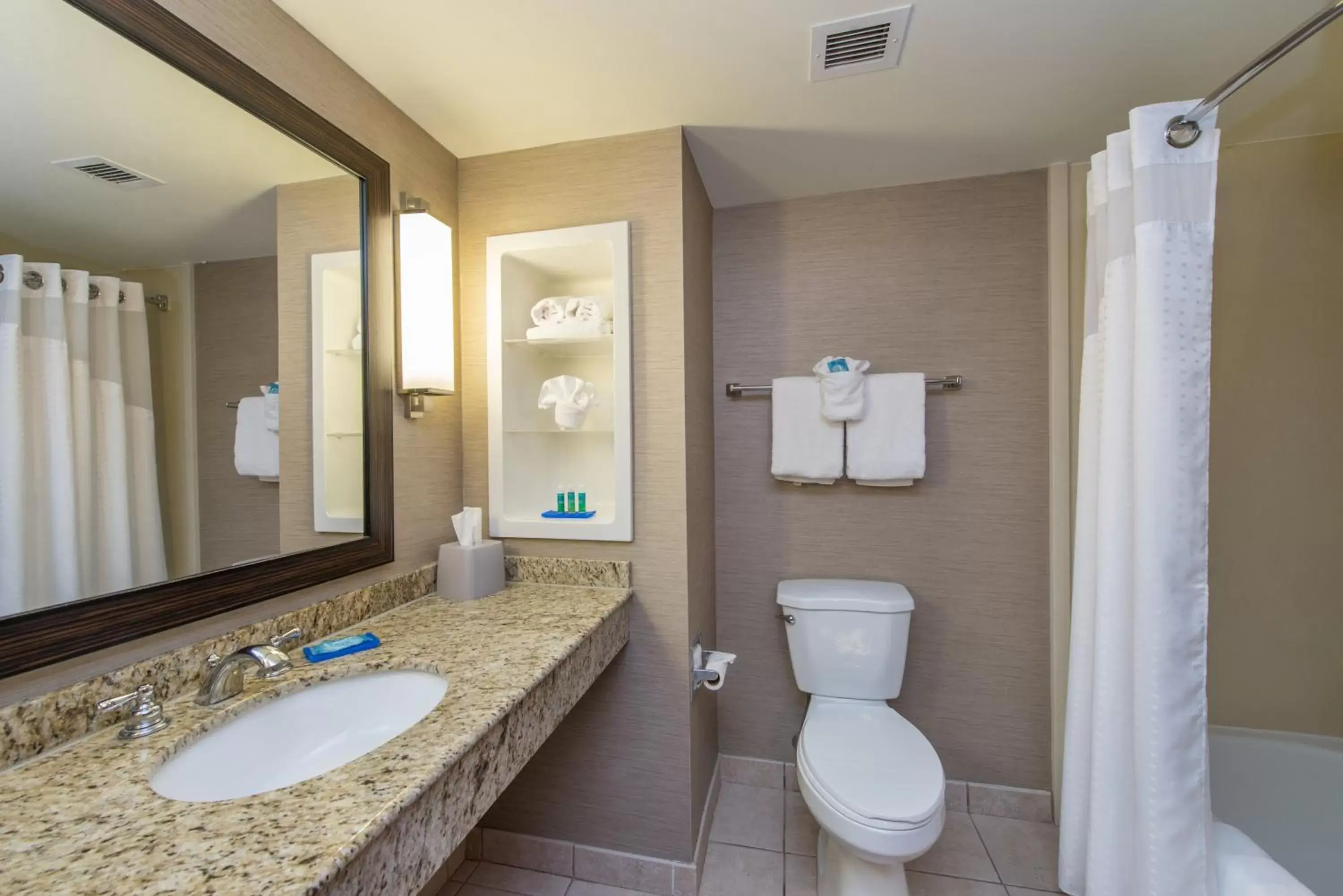 Photo of the whole room, Bathroom in Holiday Inn Express Hotel & Suites Auburn, an IHG Hotel