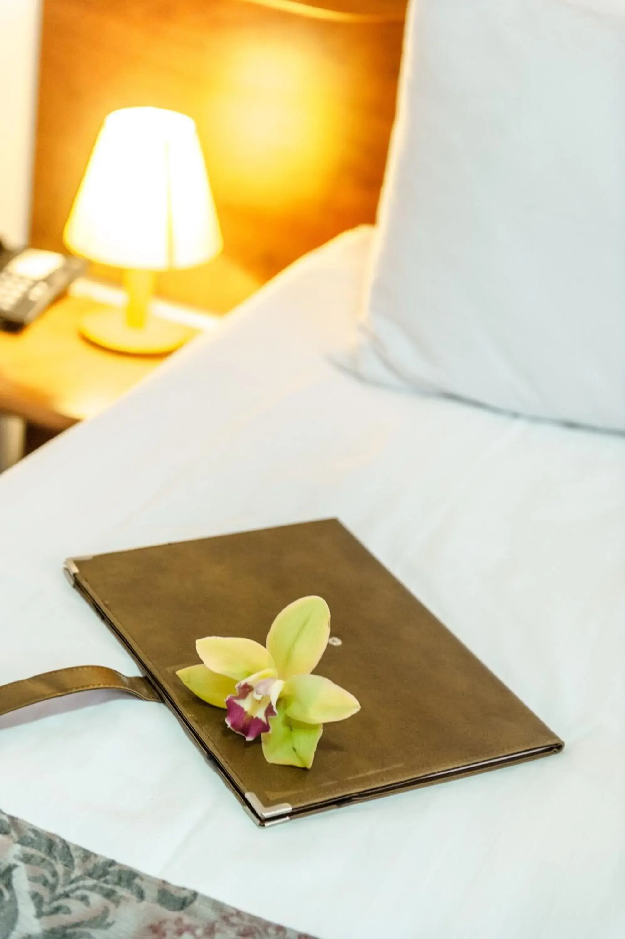 Decorative detail, Bed in Hotel Parc Sibiu